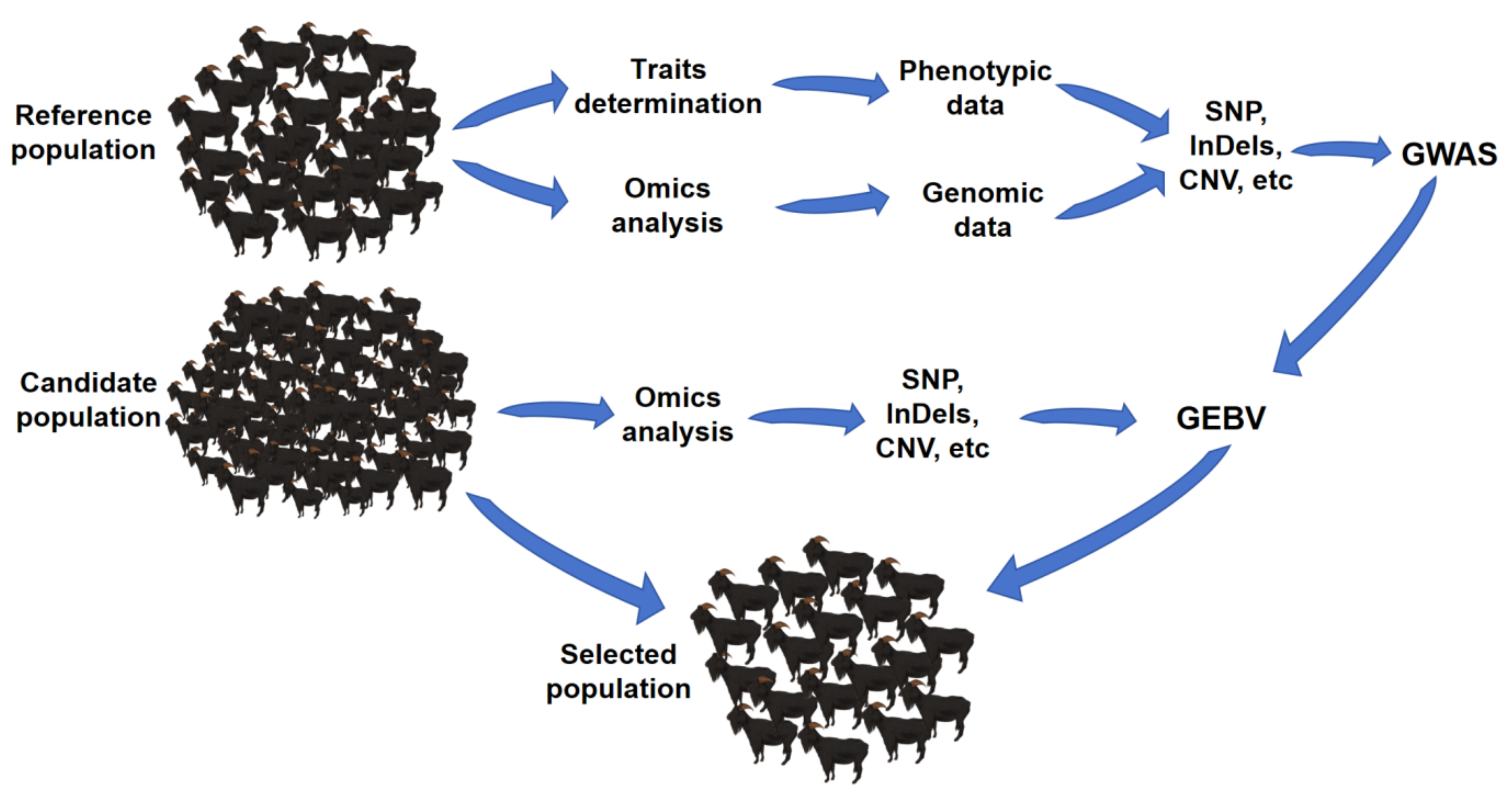 Preprints 106049 g001