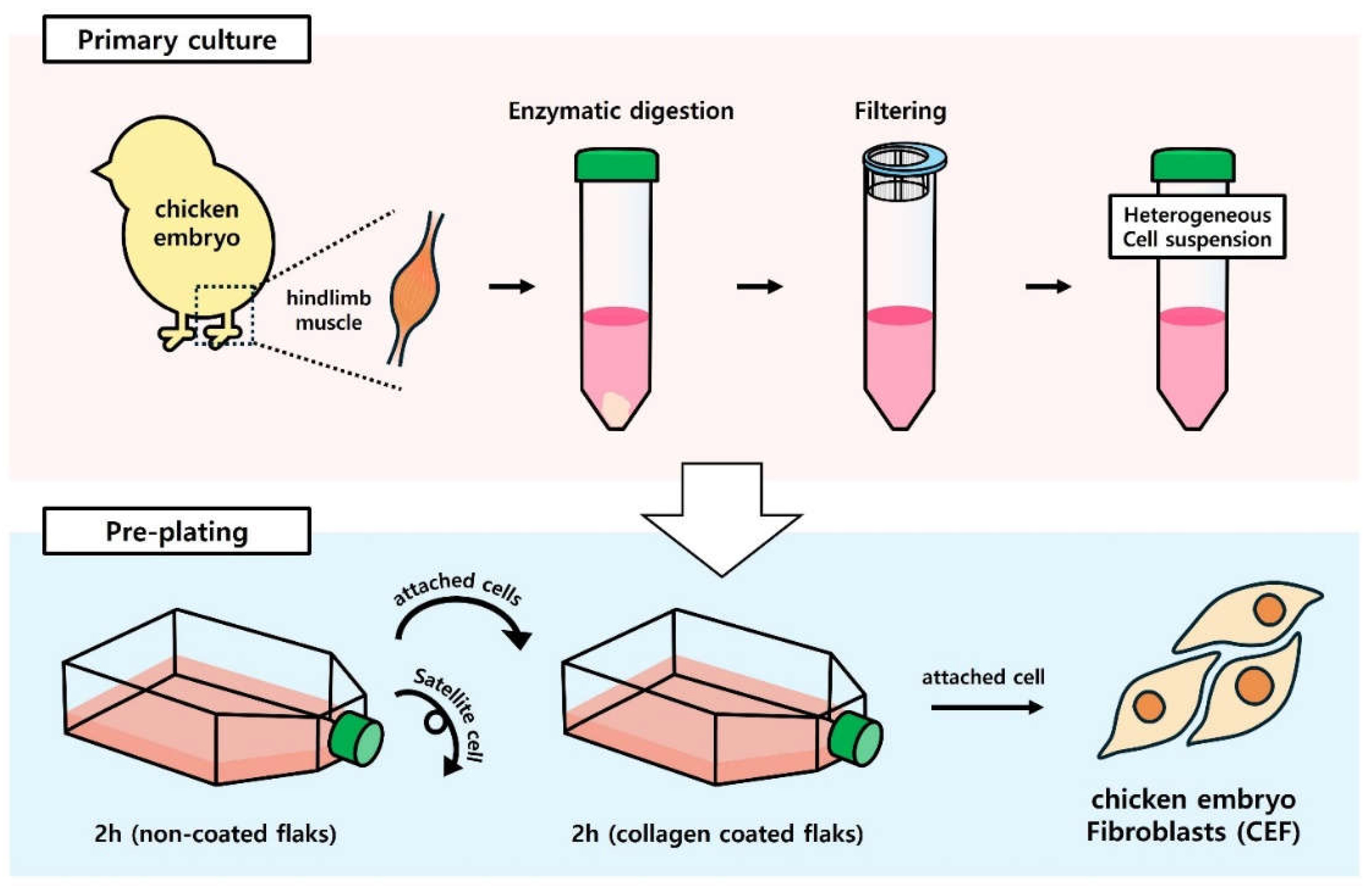 Preprints 115970 g001