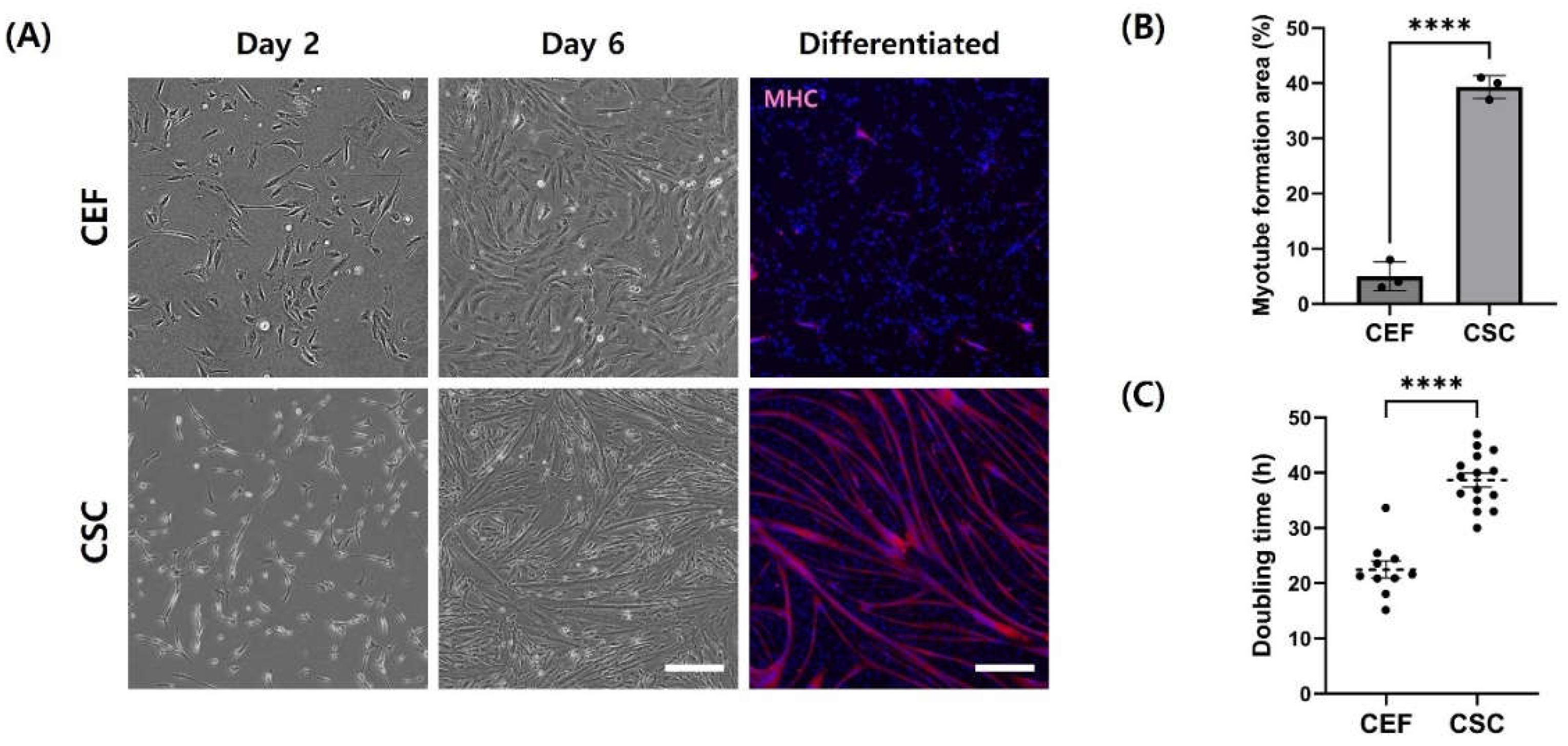 Preprints 115970 g002