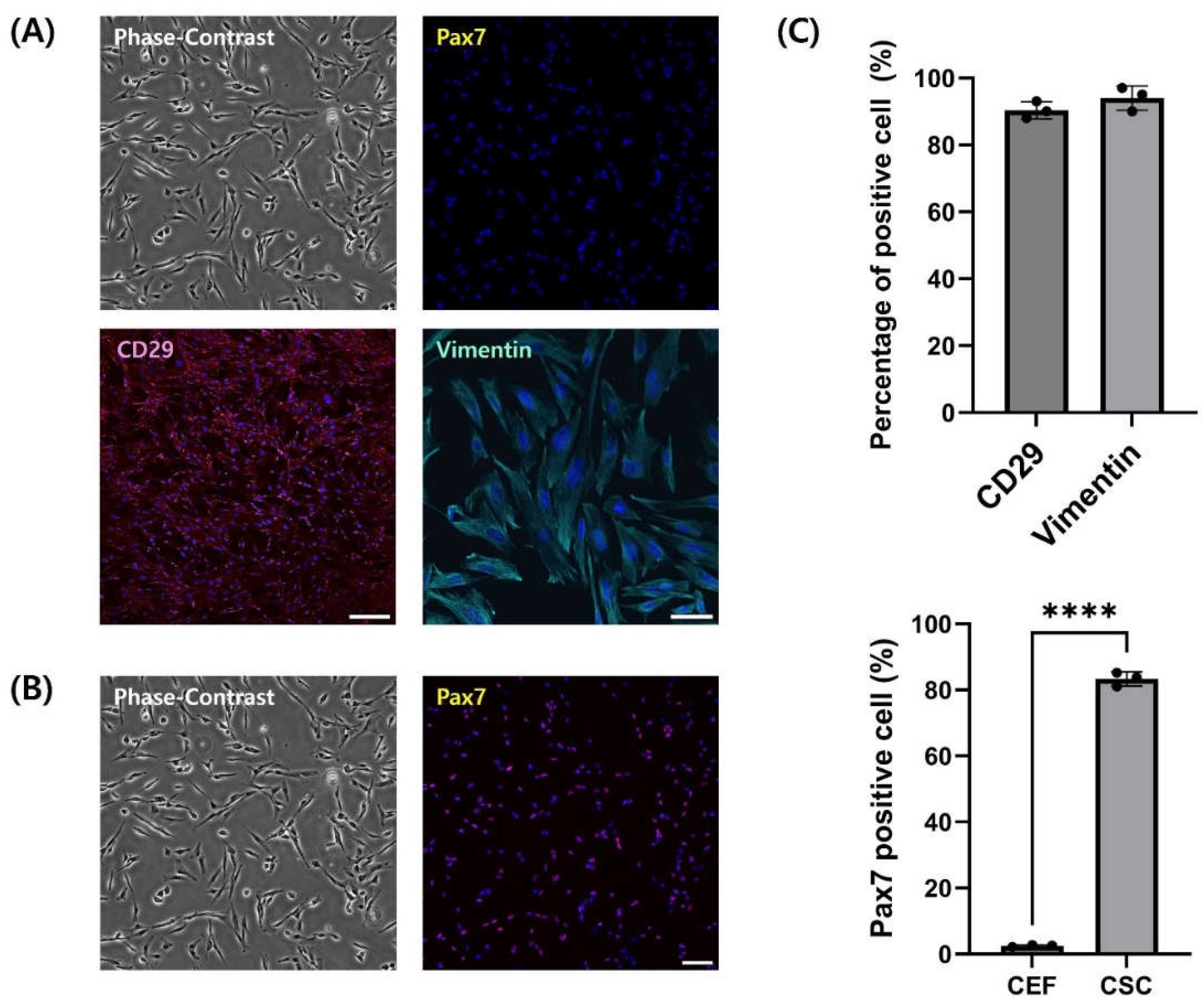 Preprints 115970 g003