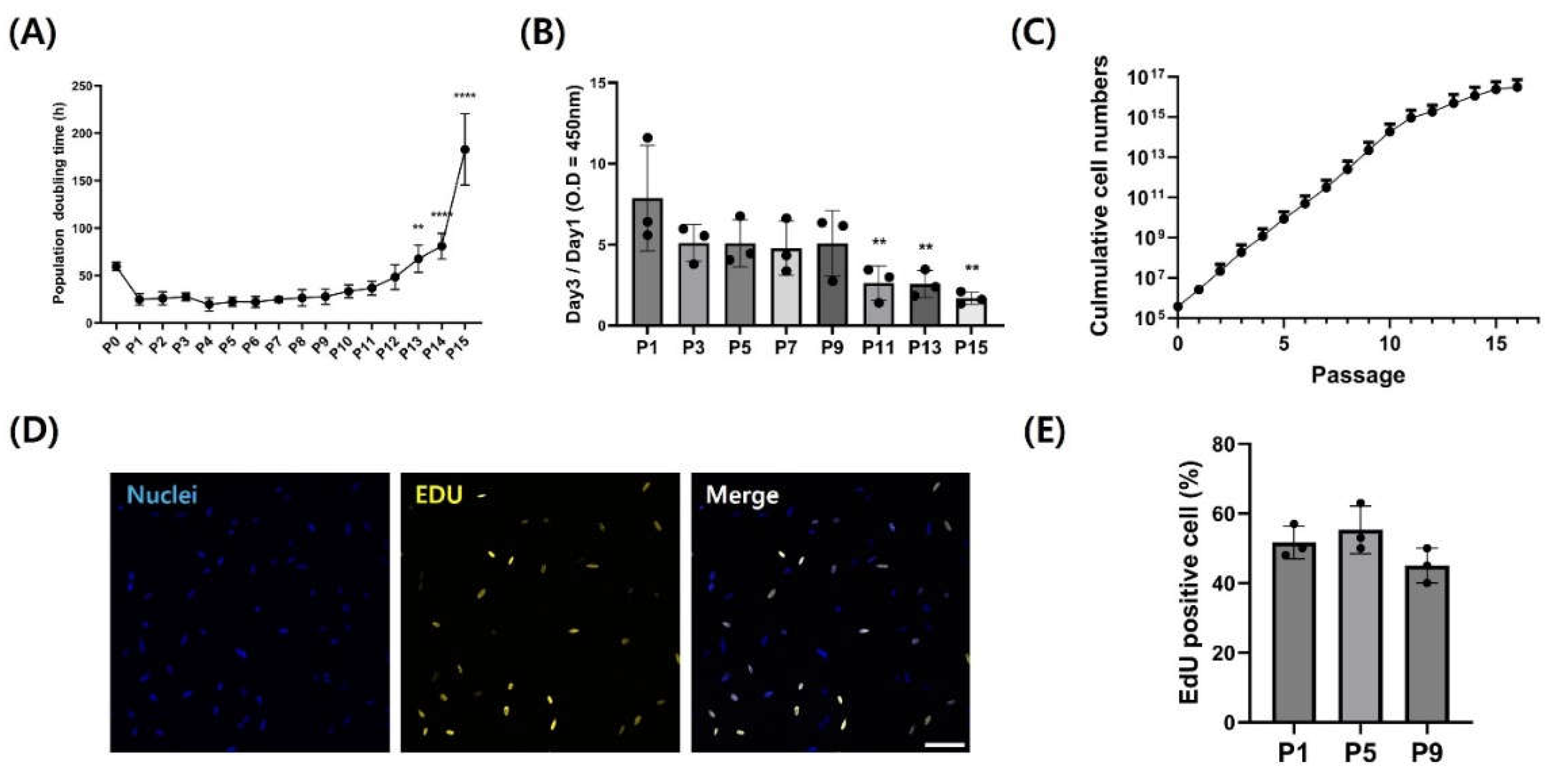 Preprints 115970 g004