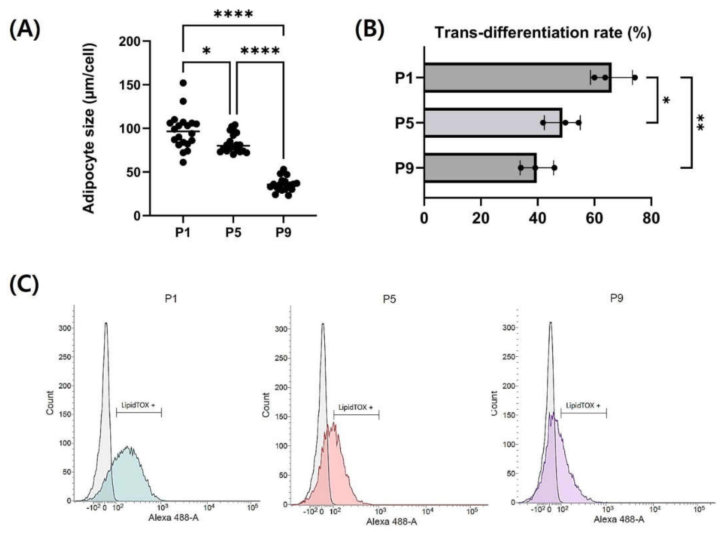 Preprints 115970 g006