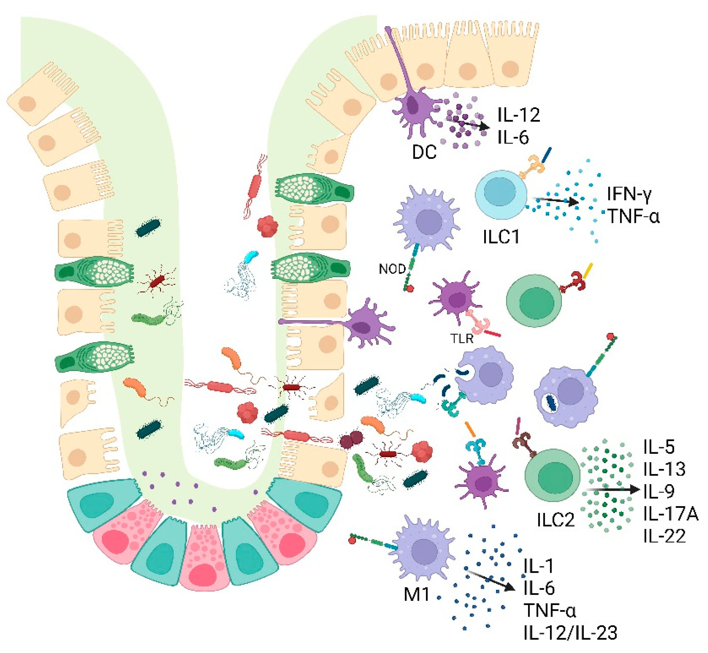 Preprints 94328 g002