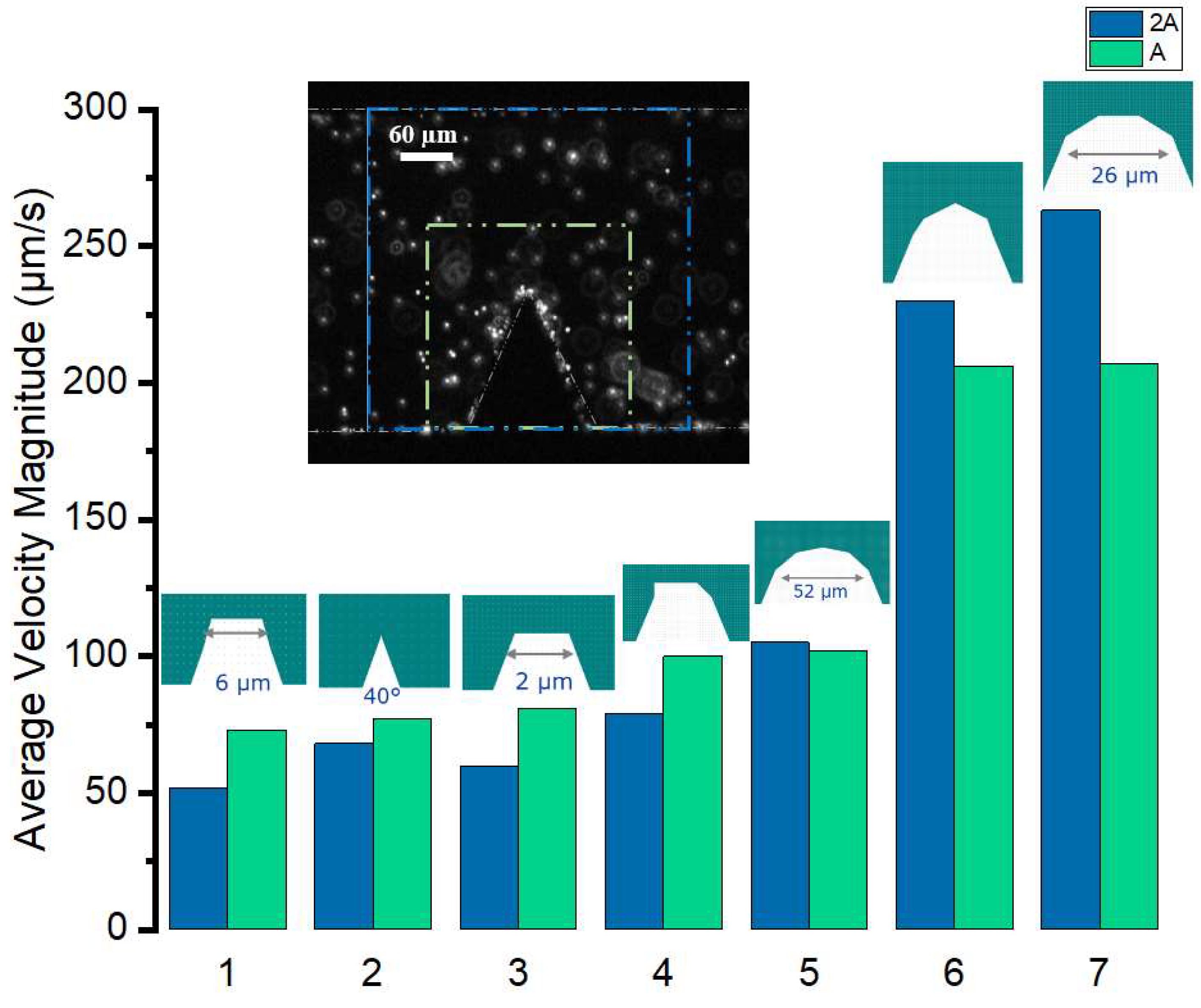 Preprints 117328 g008