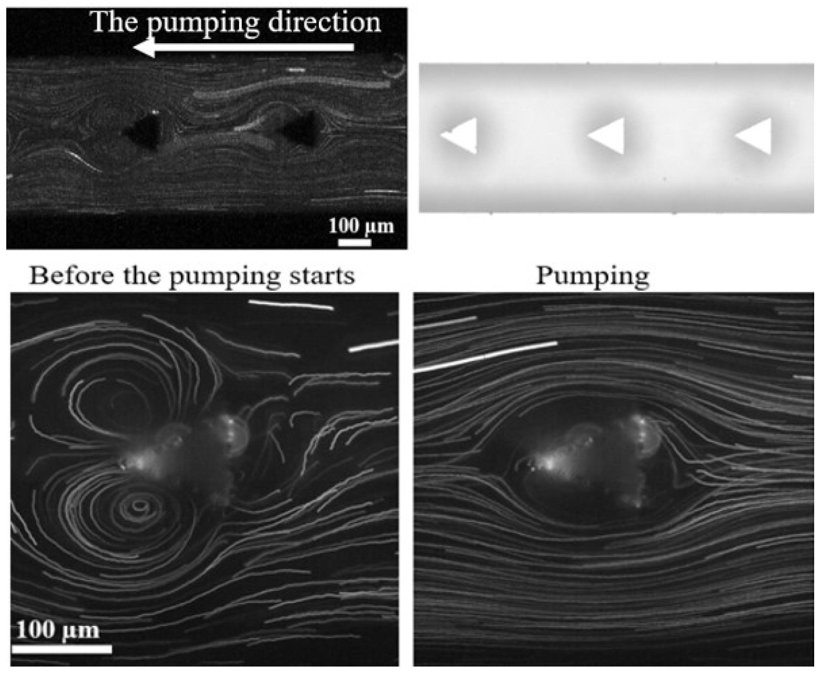 Preprints 117328 g009