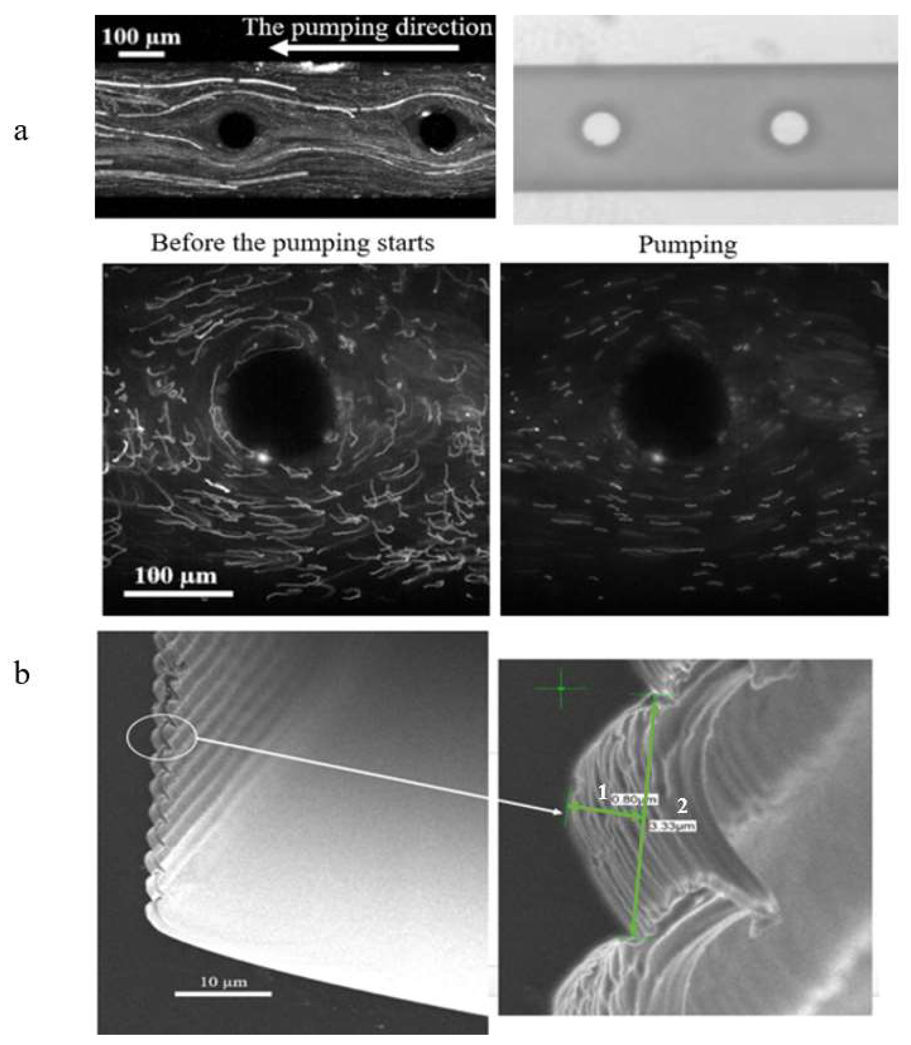 Preprints 117328 g010