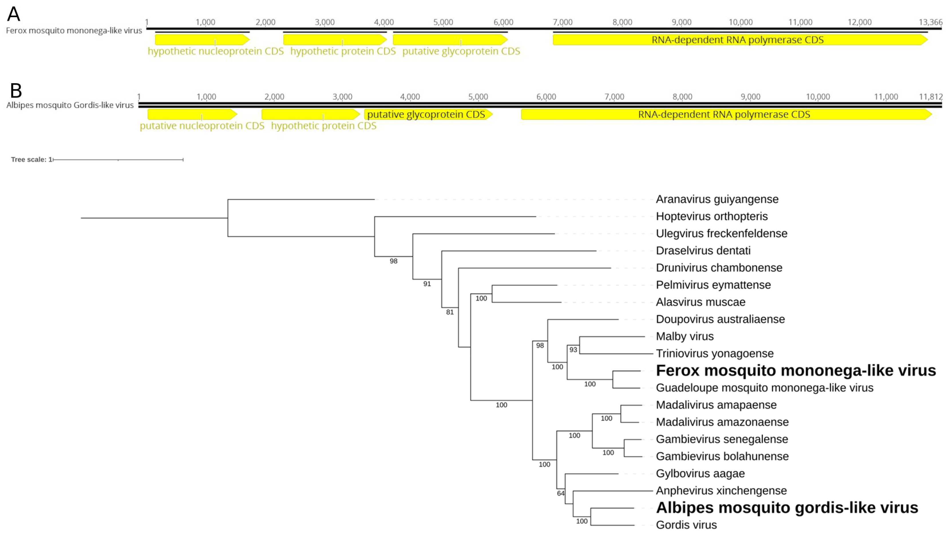 Preprints 110555 g002