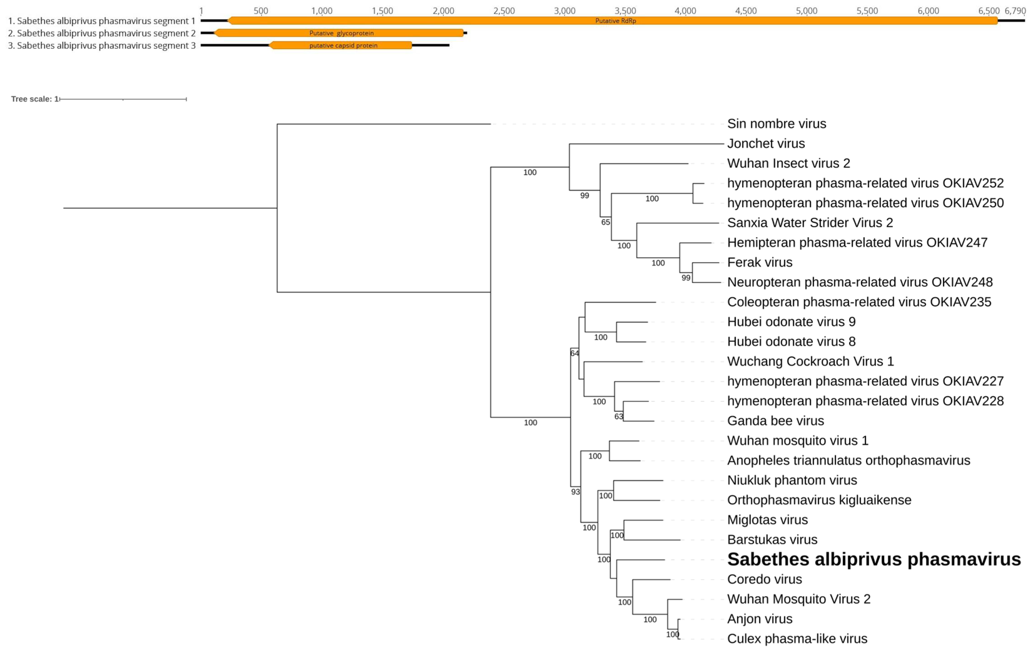 Preprints 110555 g003