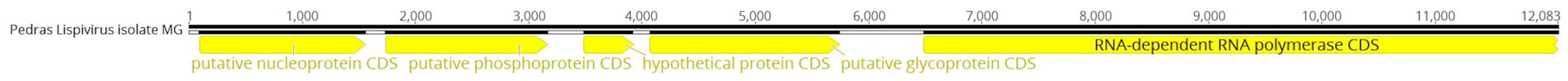 Preprints 110555 g004a