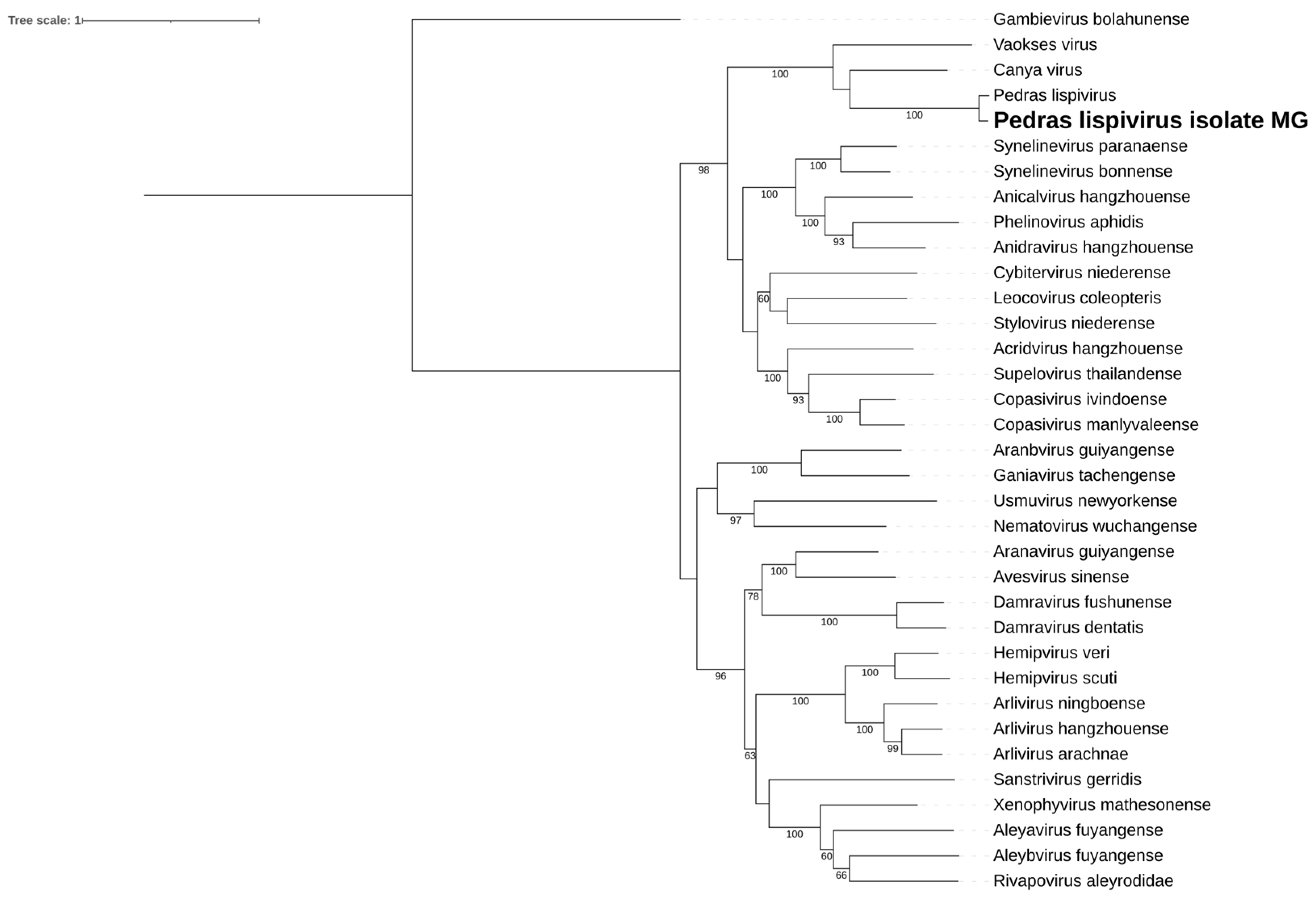 Preprints 110555 g004b