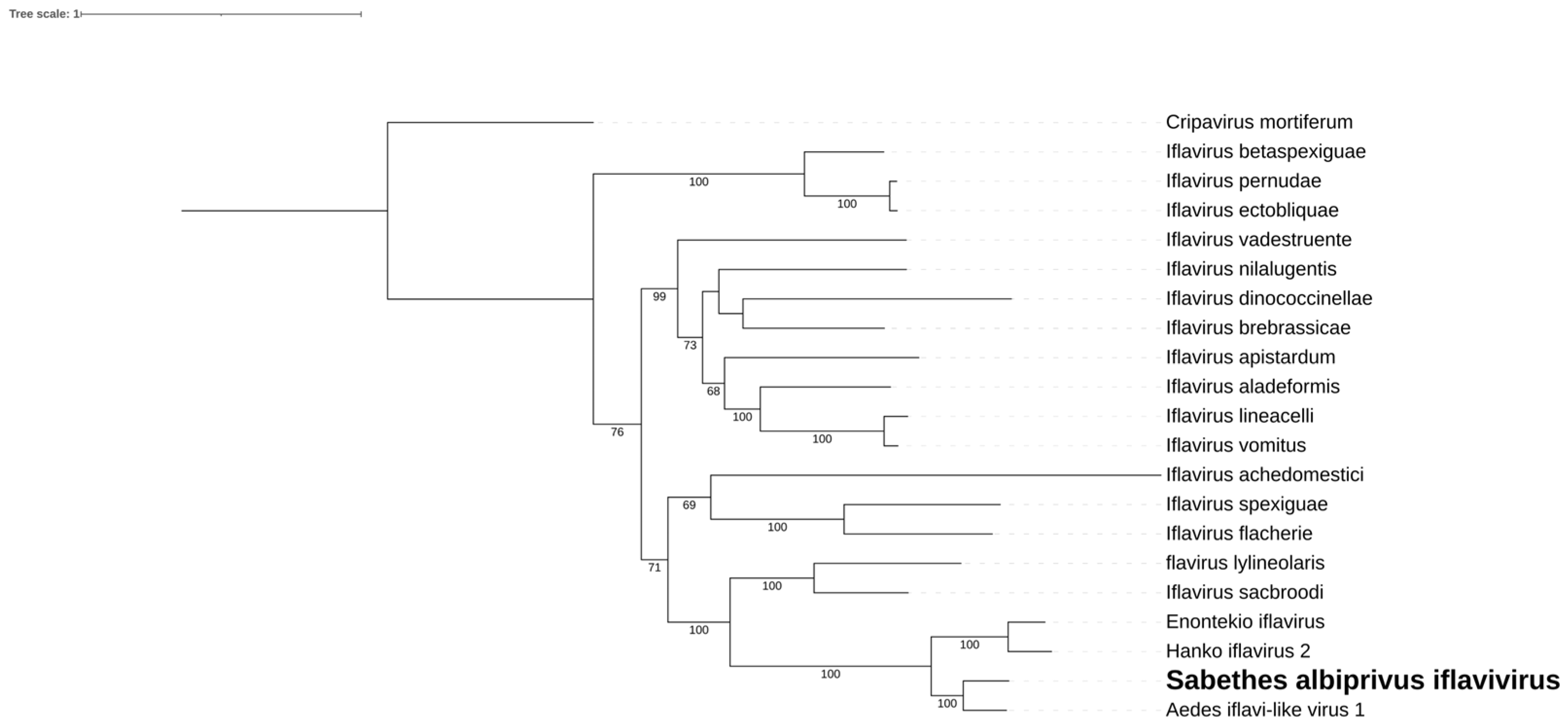 Preprints 110555 g005b