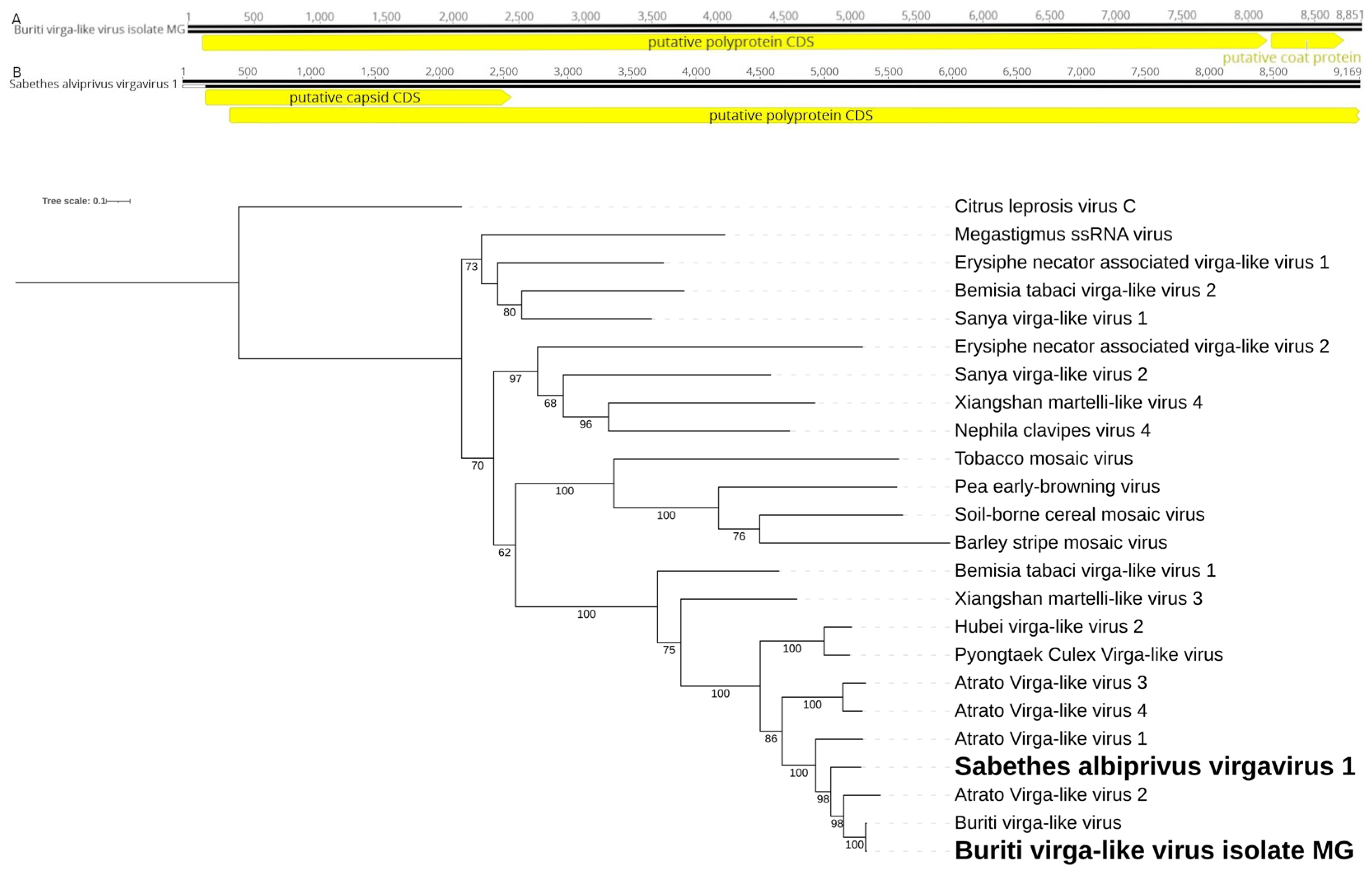 Preprints 110555 g006