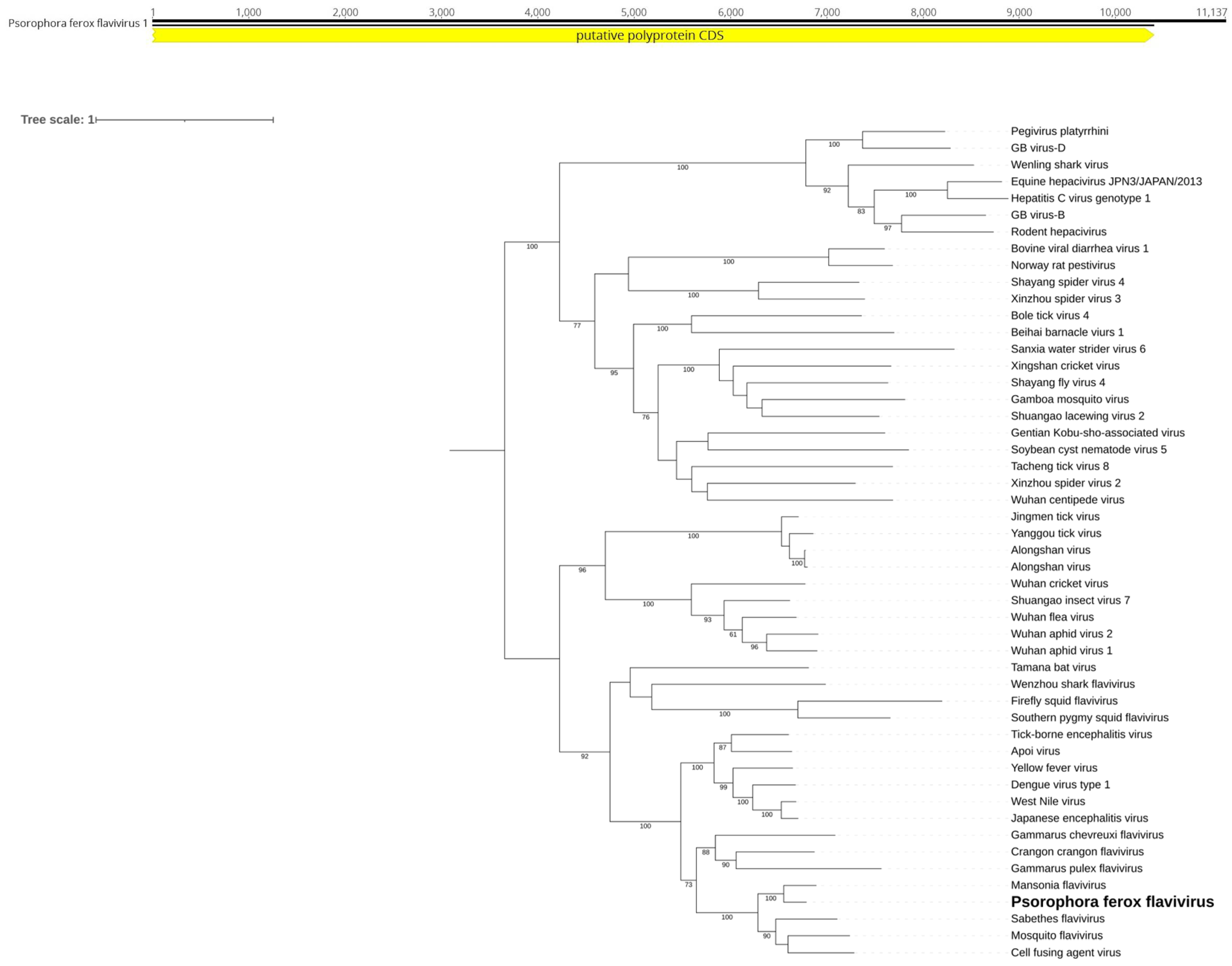 Preprints 110555 g007