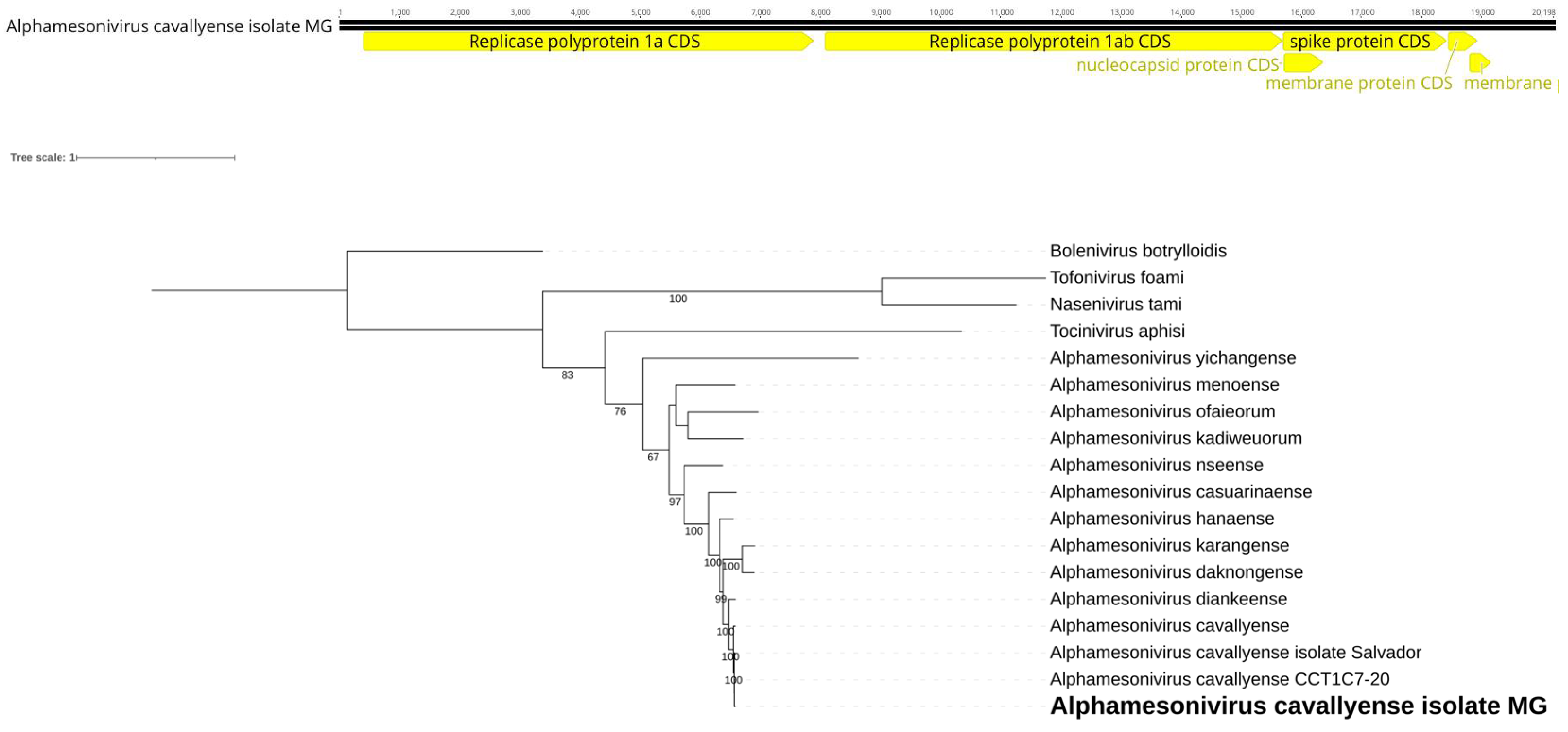 Preprints 110555 g008