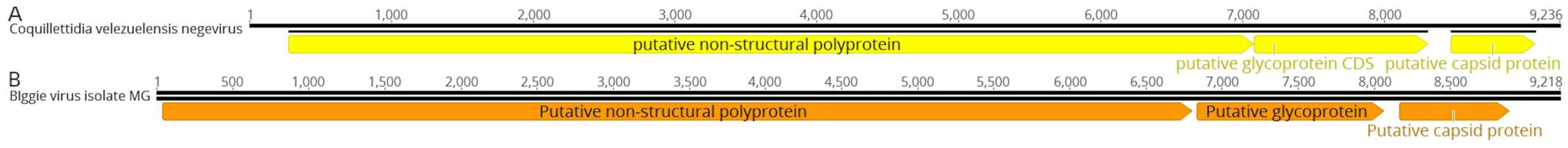 Preprints 110555 g009a