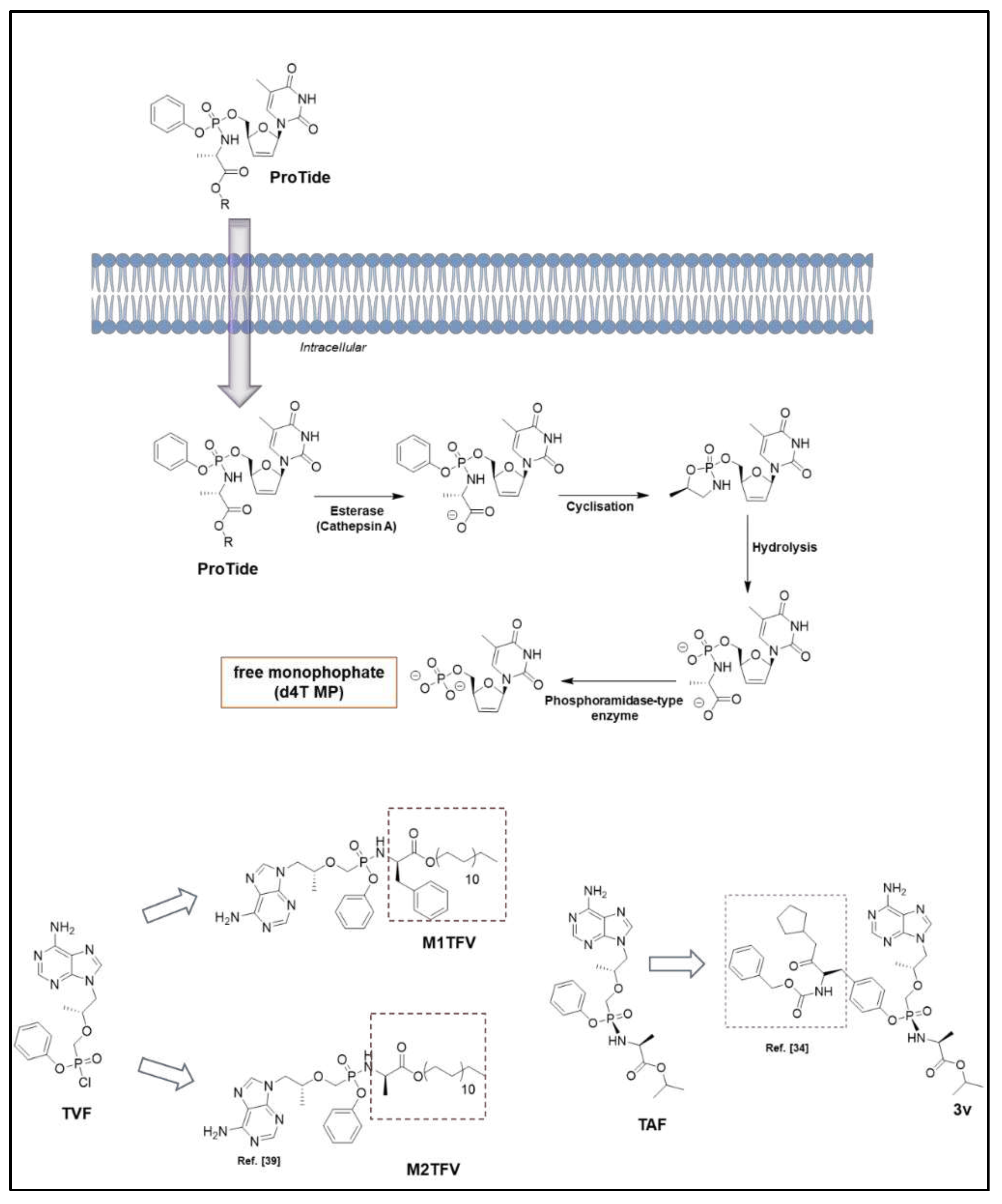 Preprints 85188 g003