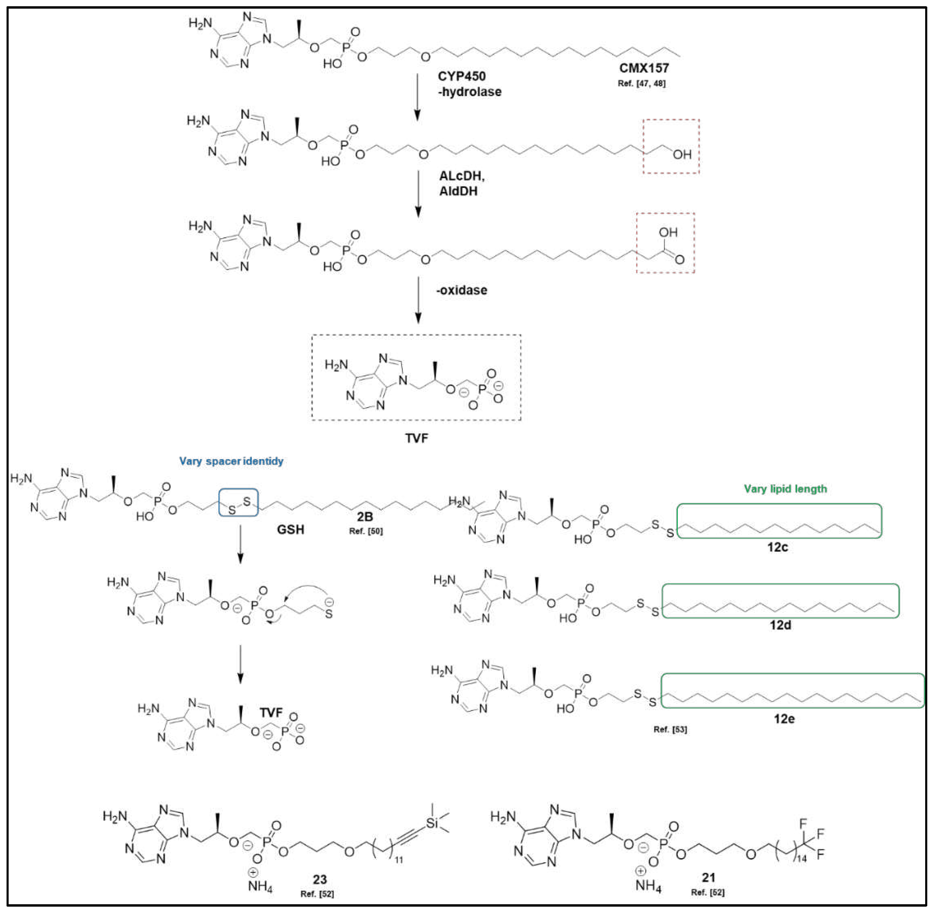 Preprints 85188 g005