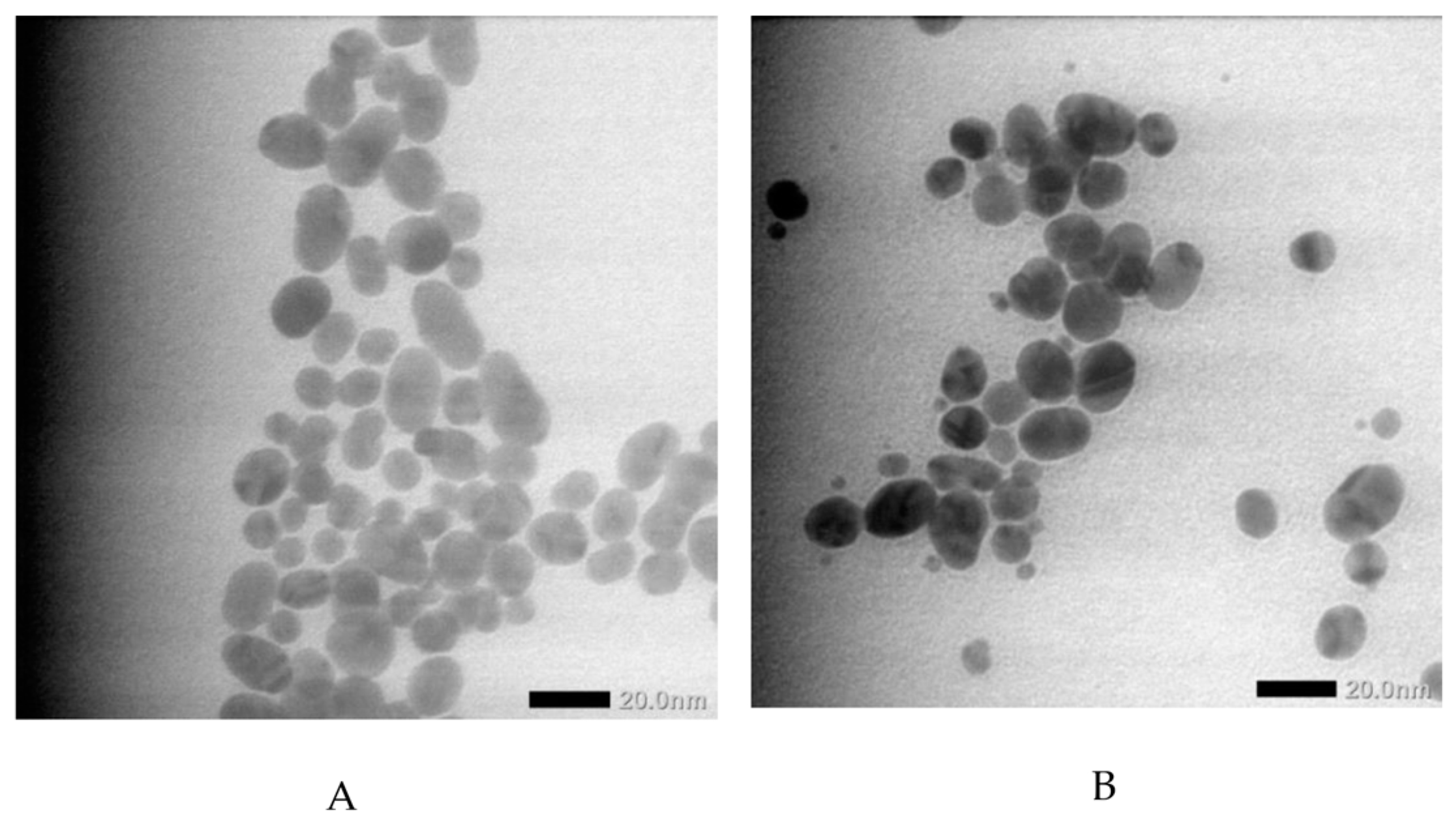 Preprints 92805 g002