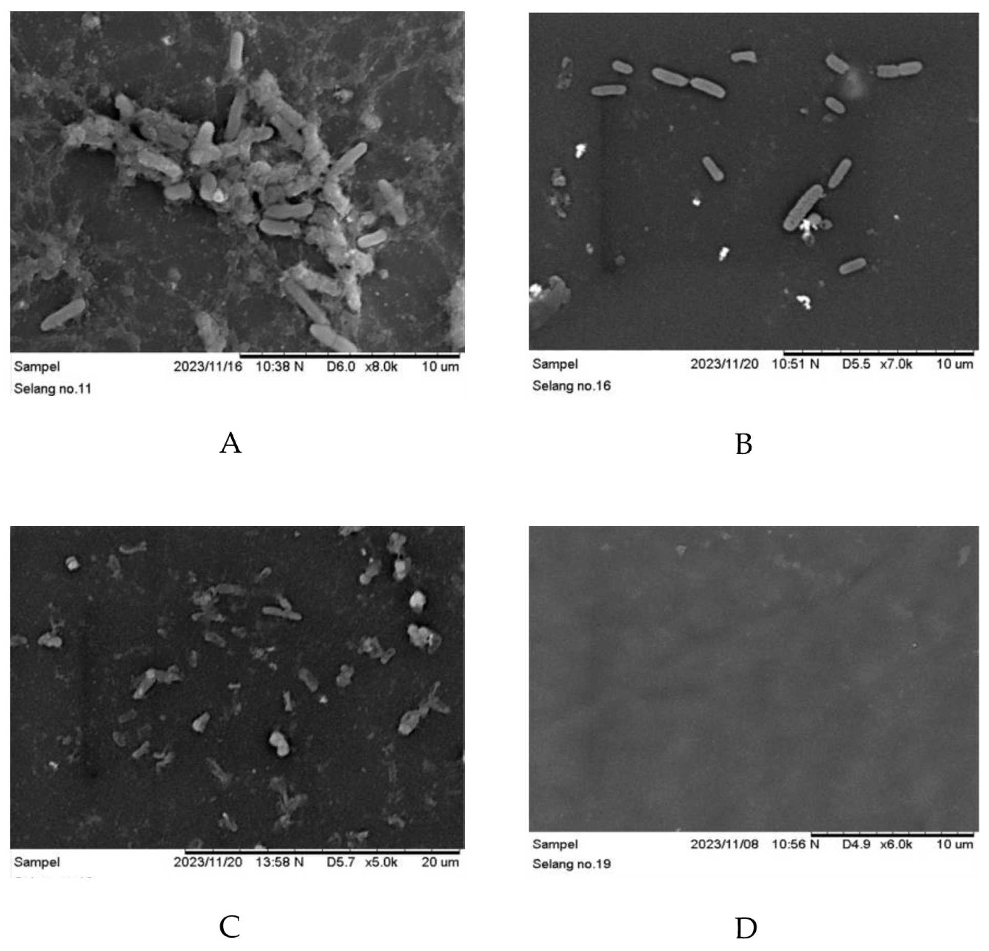 Preprints 92805 g004