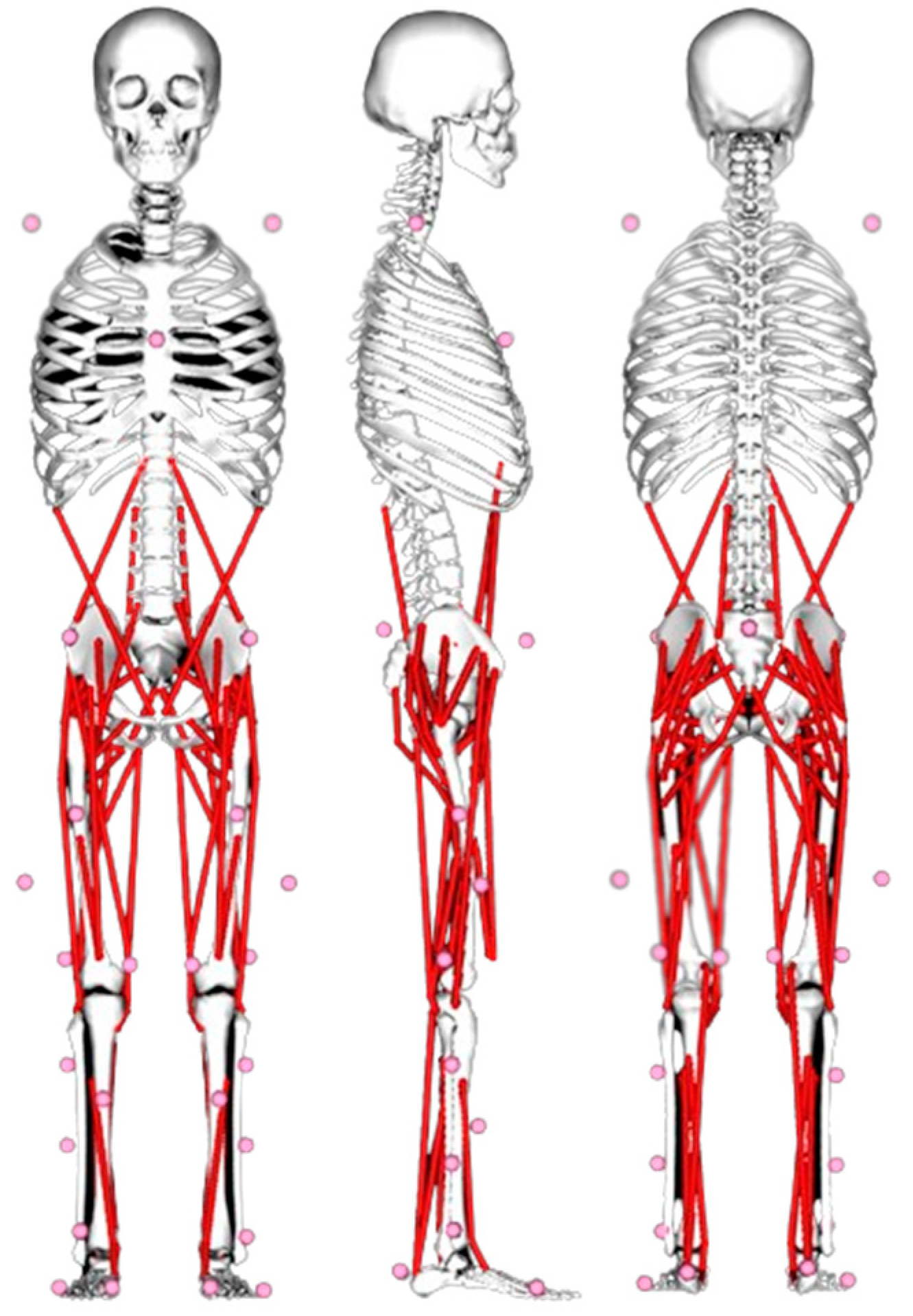 Preprints 88247 g001