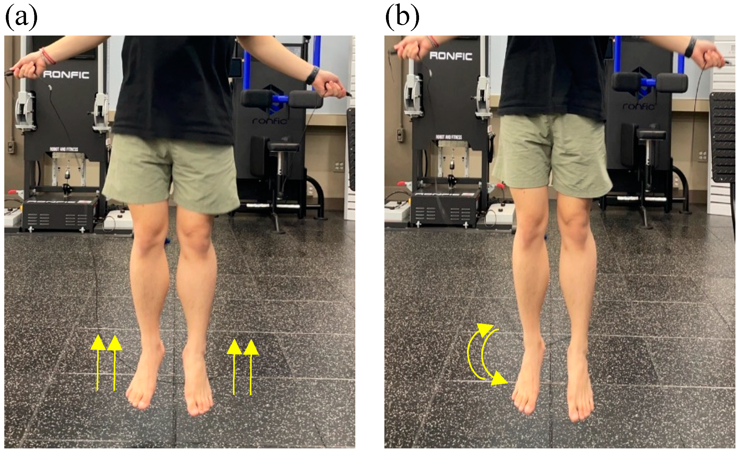 Preprints 88247 g002a