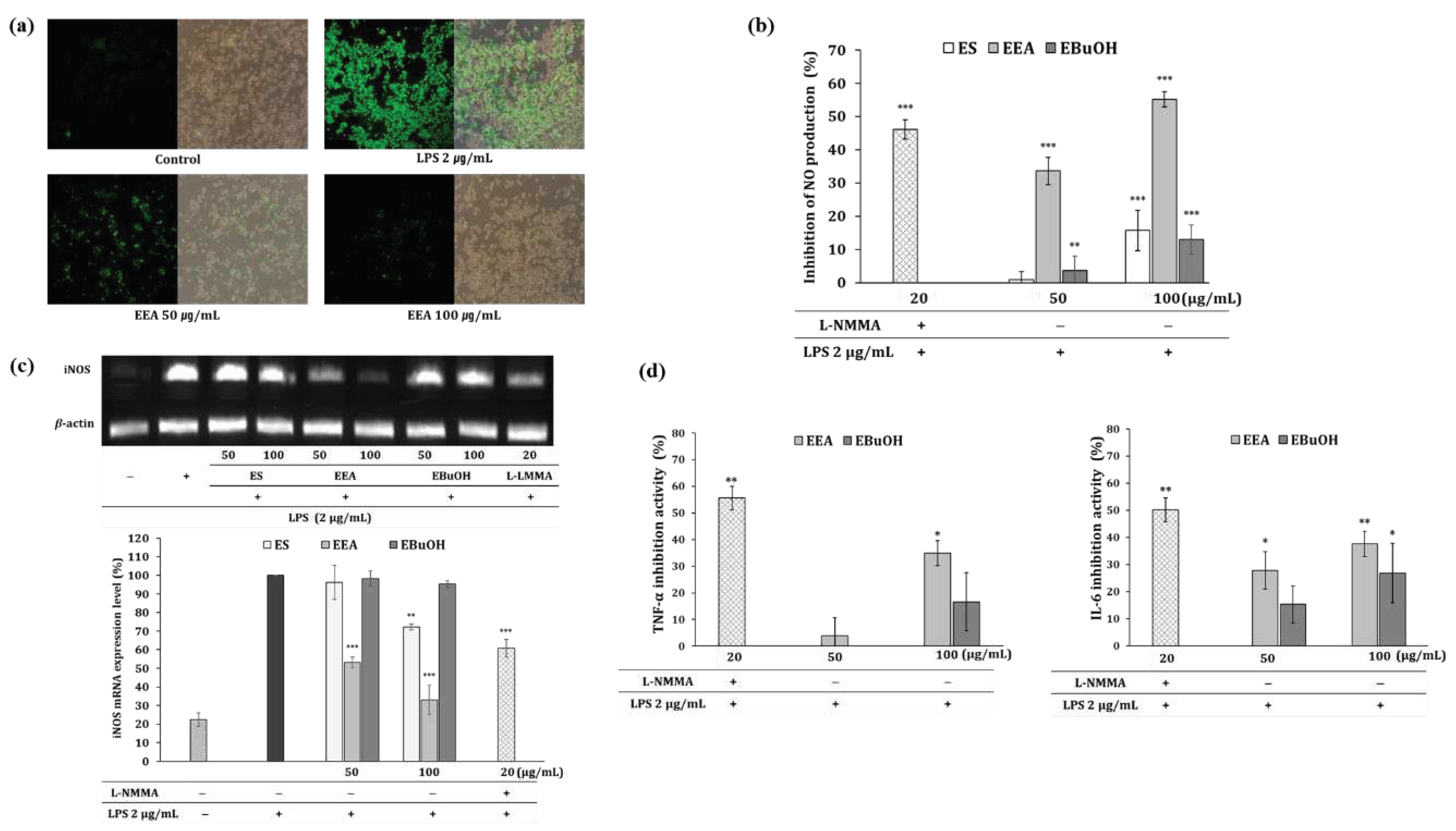 Preprints 91605 g001