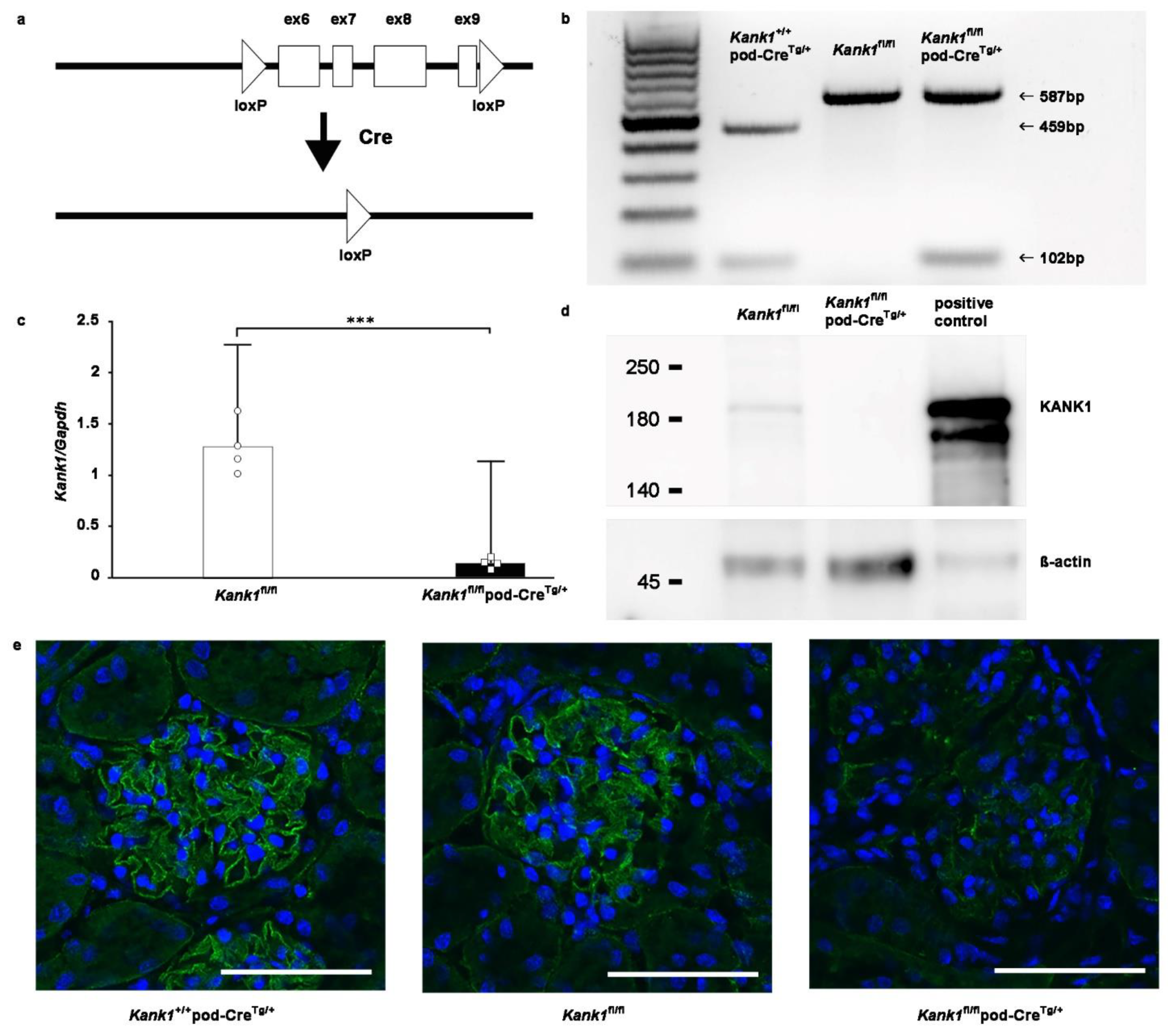 Preprints 104828 g002