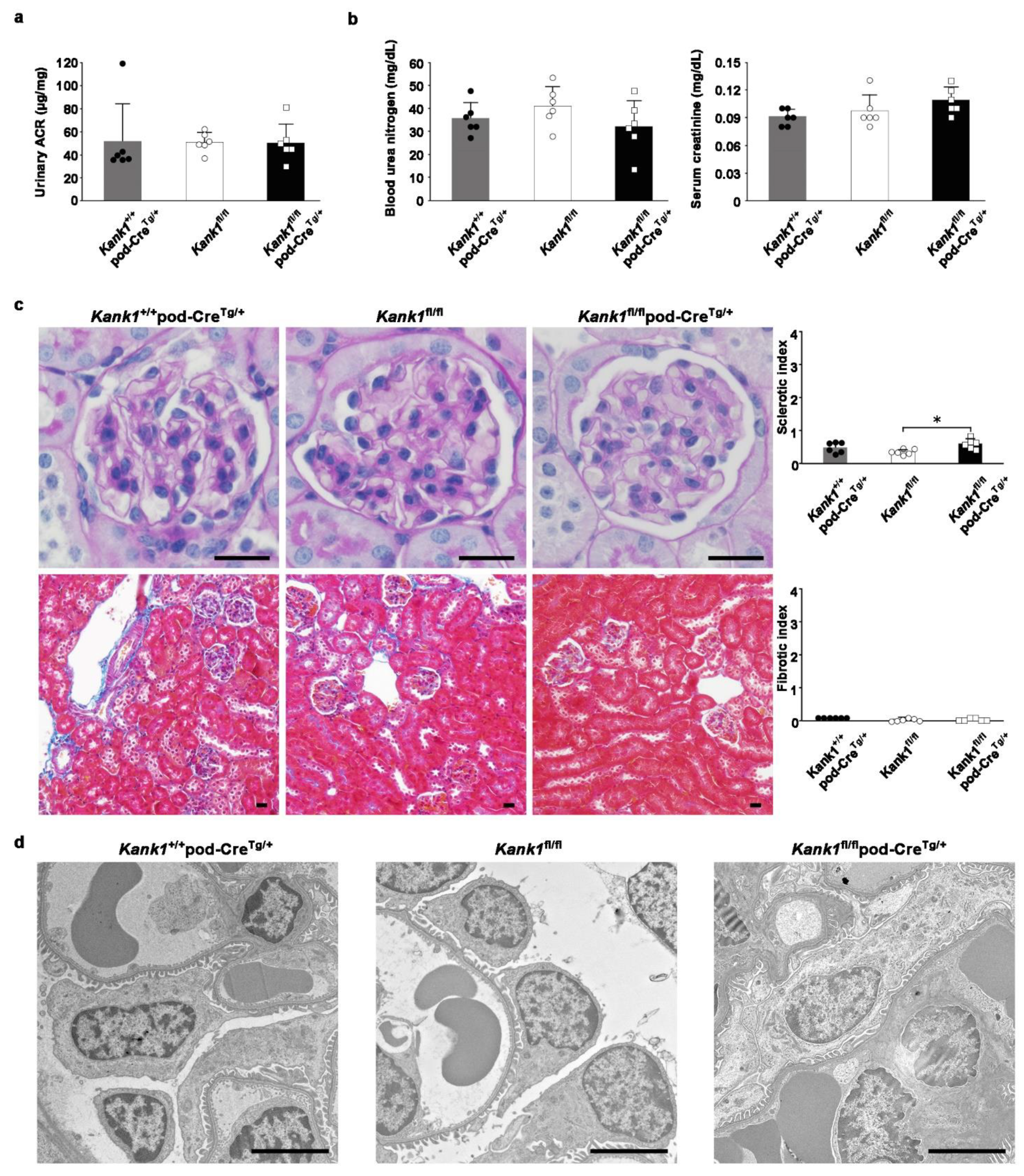 Preprints 104828 g003