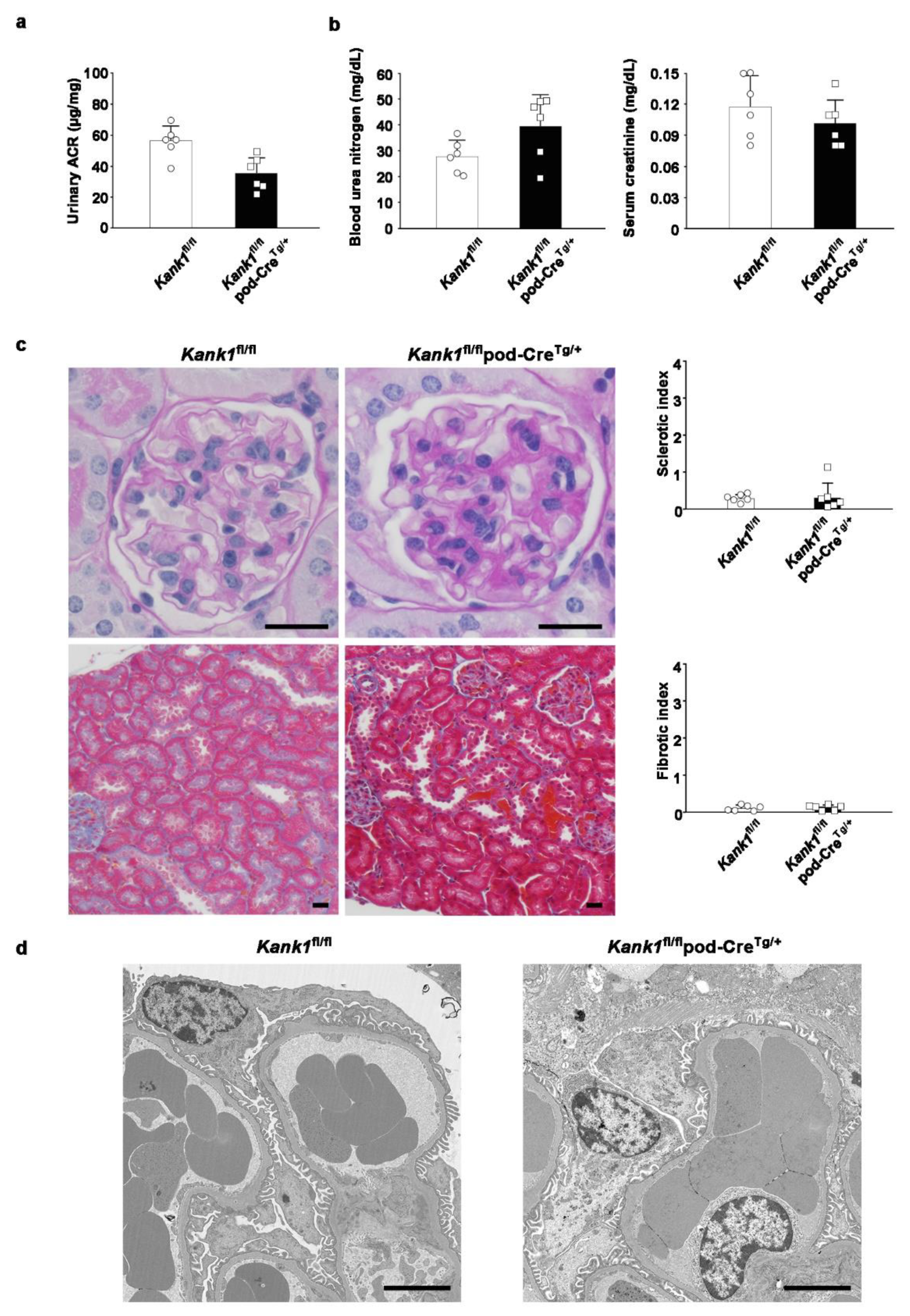 Preprints 104828 g004