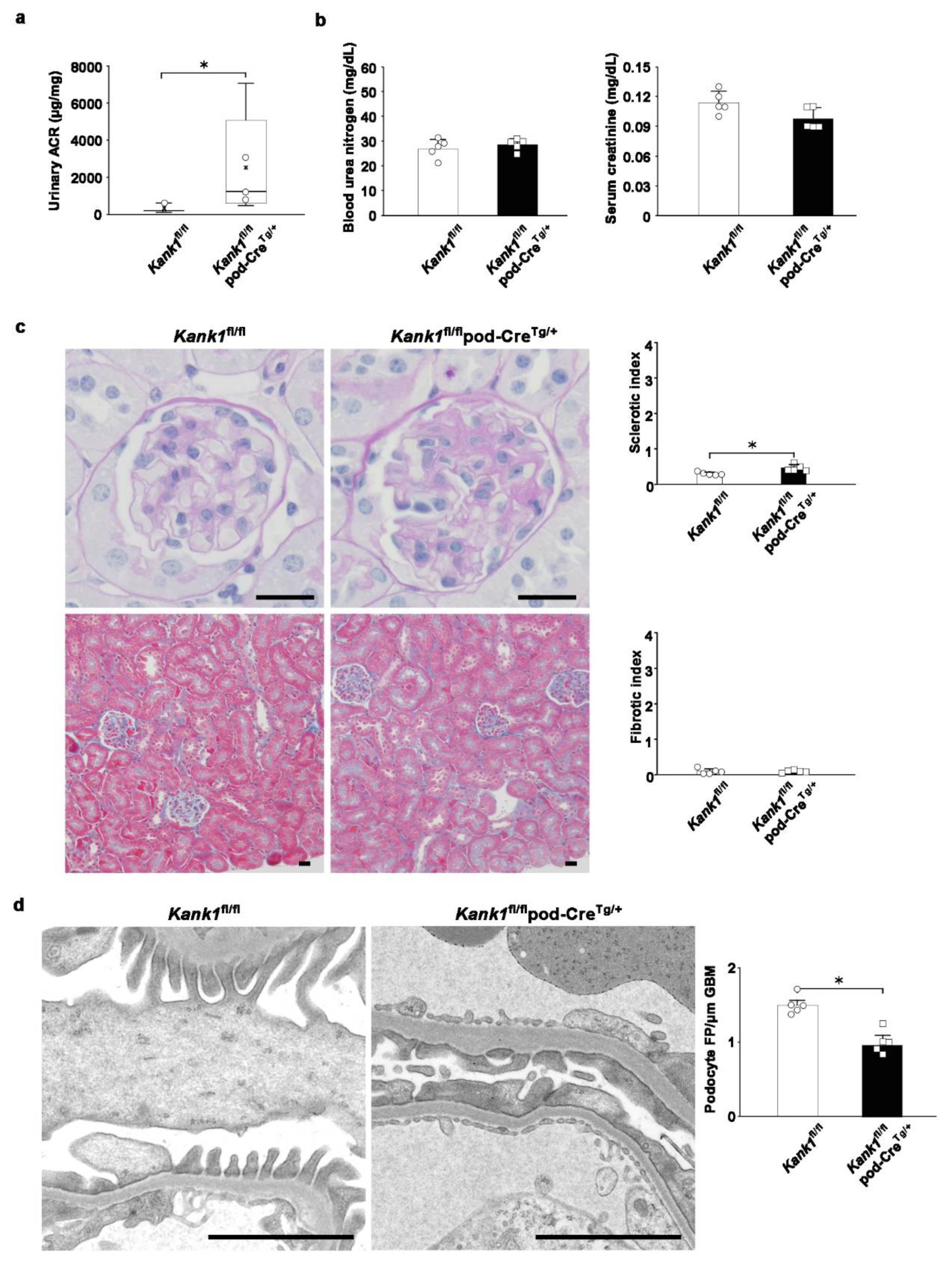 Preprints 104828 g006