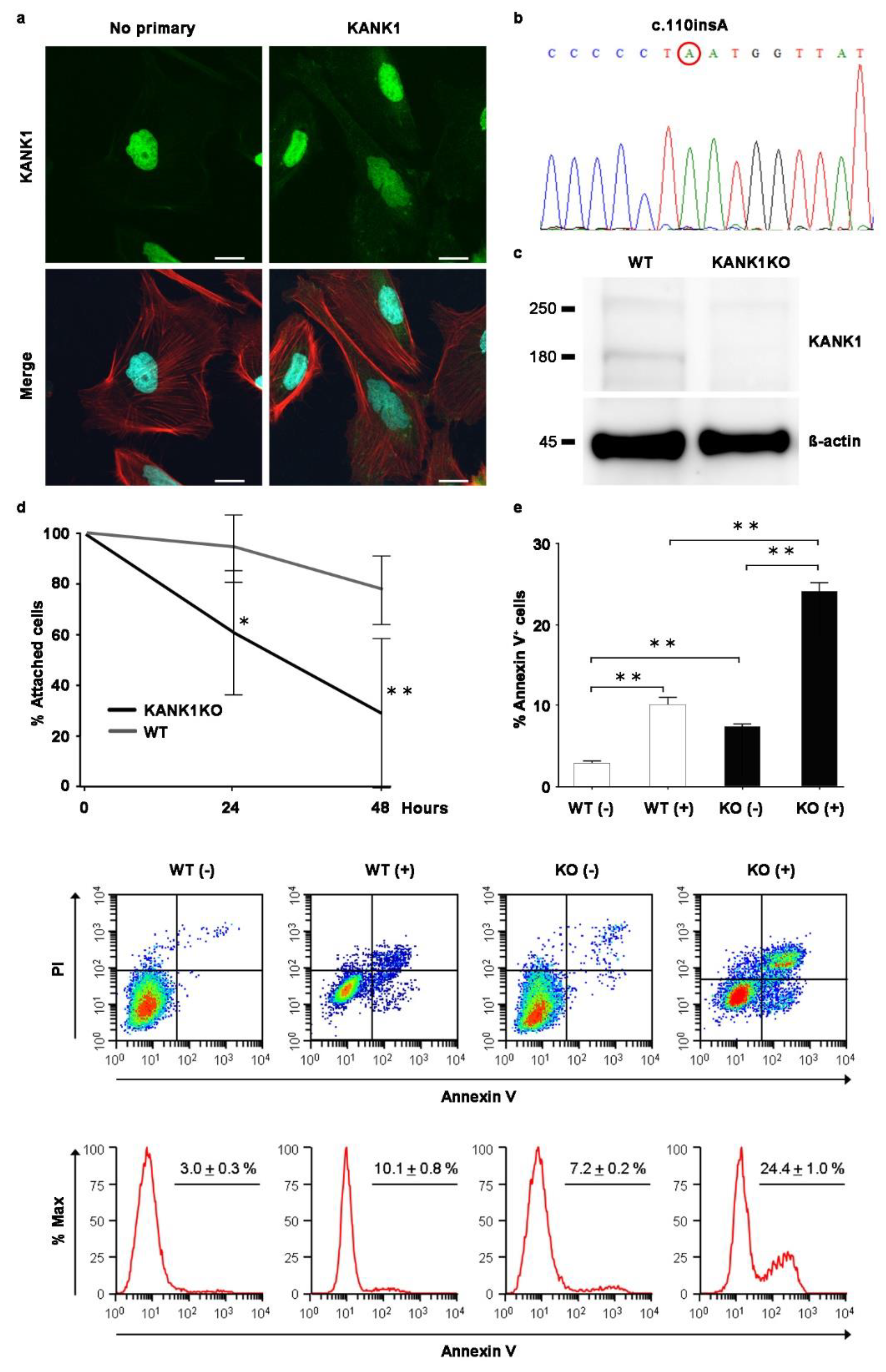 Preprints 104828 g007