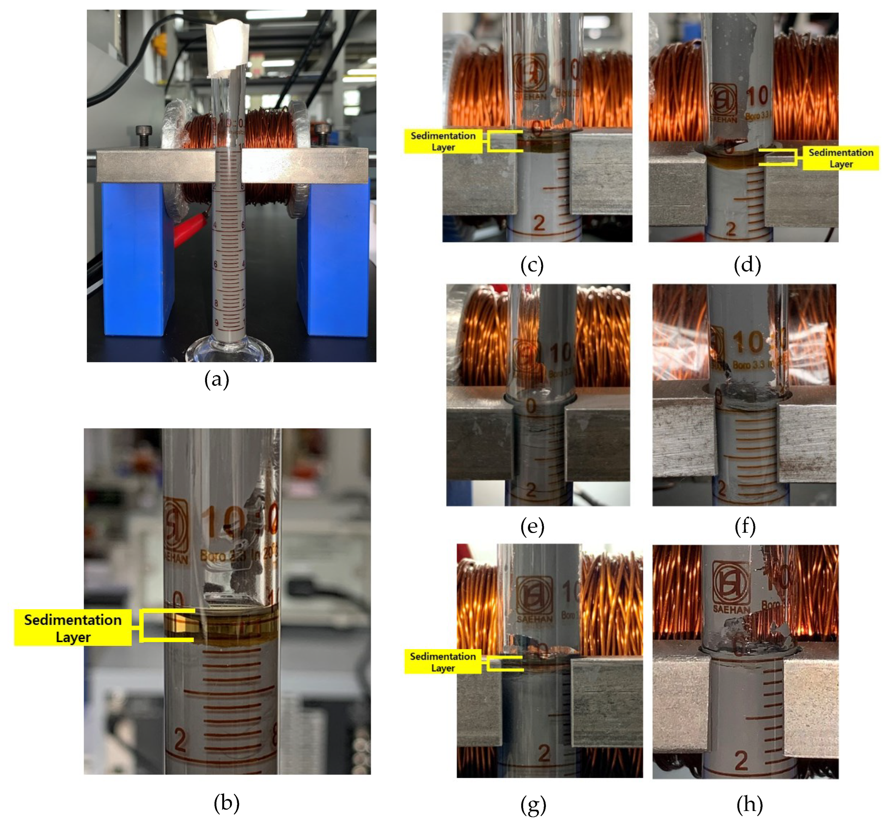 Preprints 97494 g008