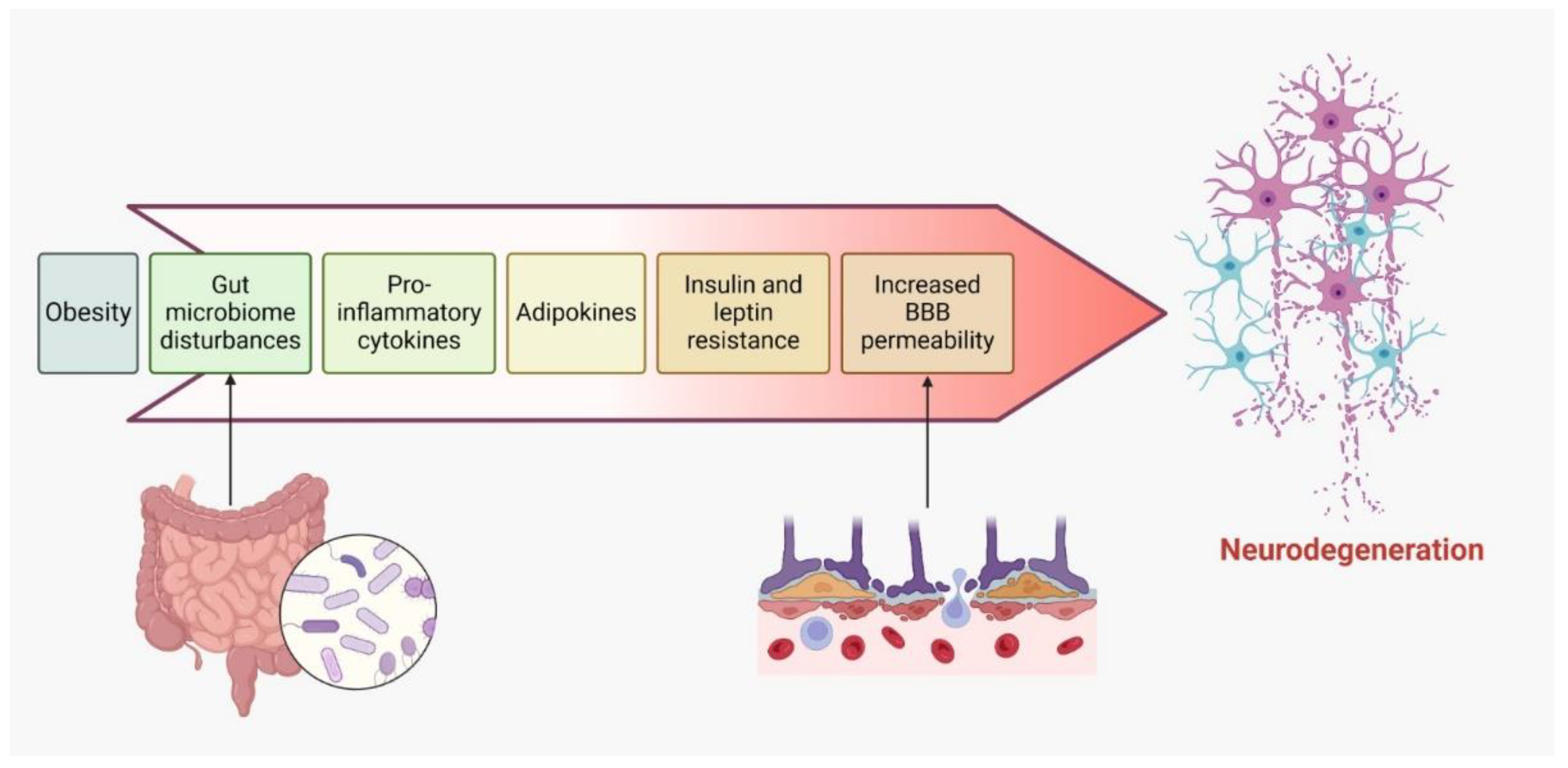 Preprints 117263 g004