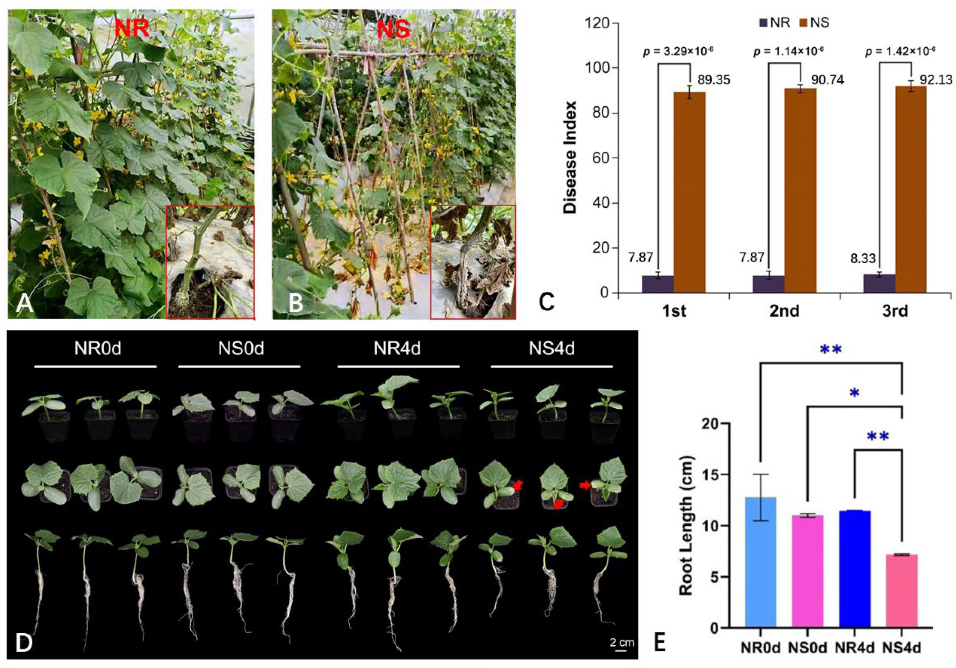 Preprints 103584 g001