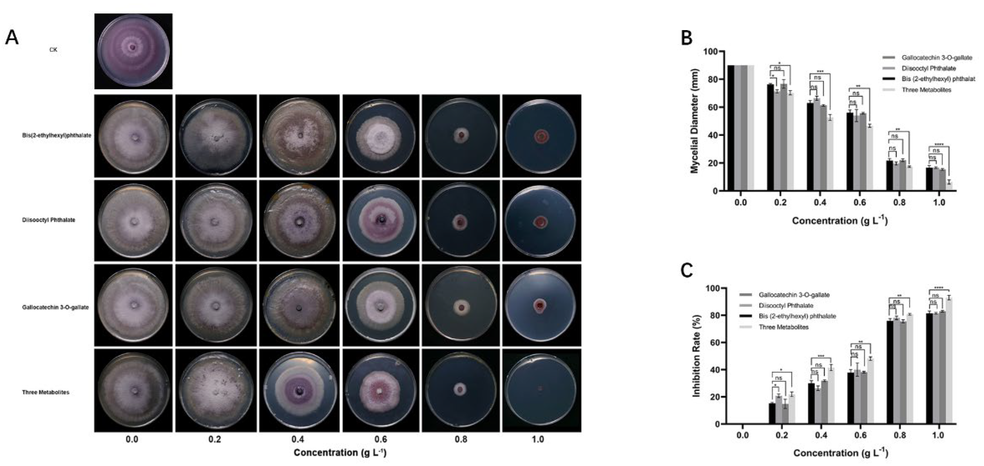 Preprints 103584 g005