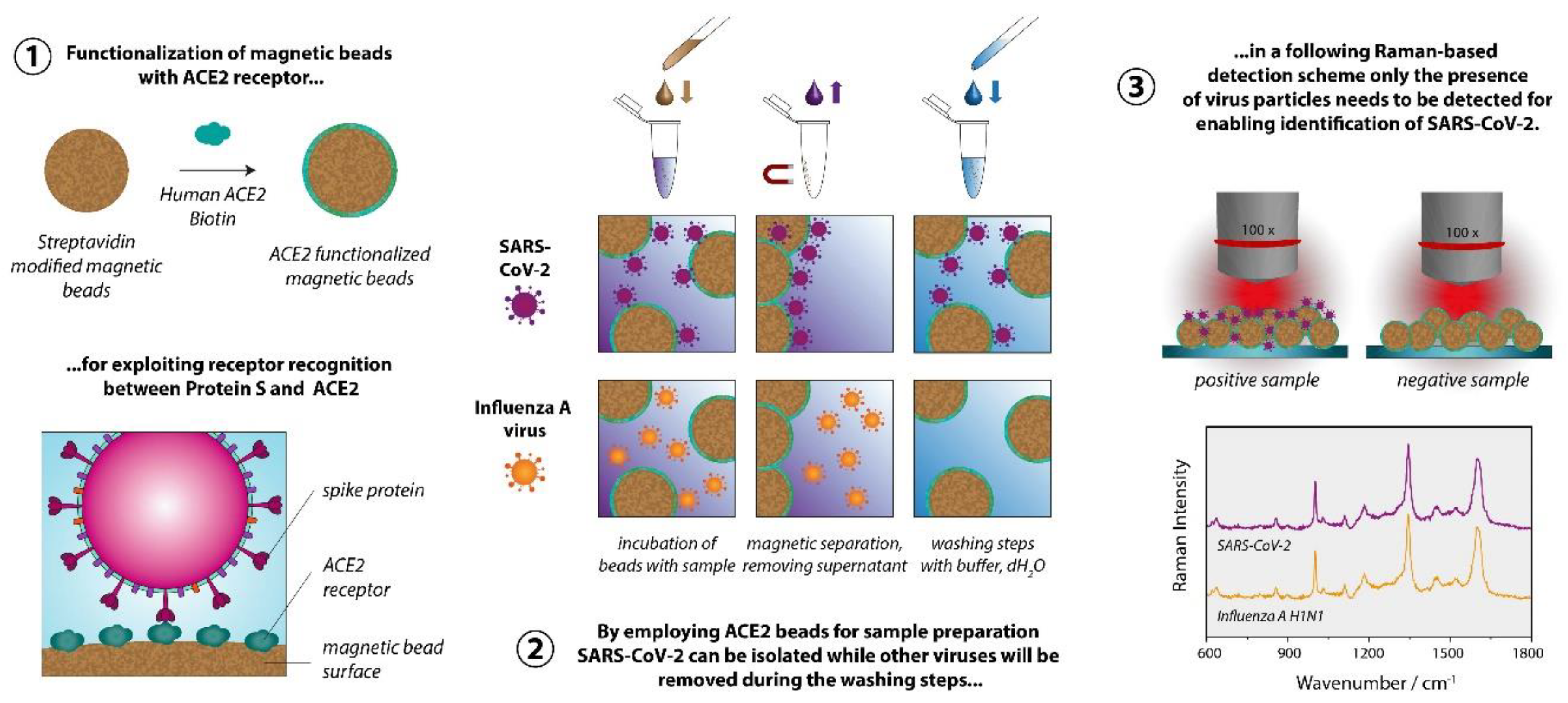 Preprints 72031 g001