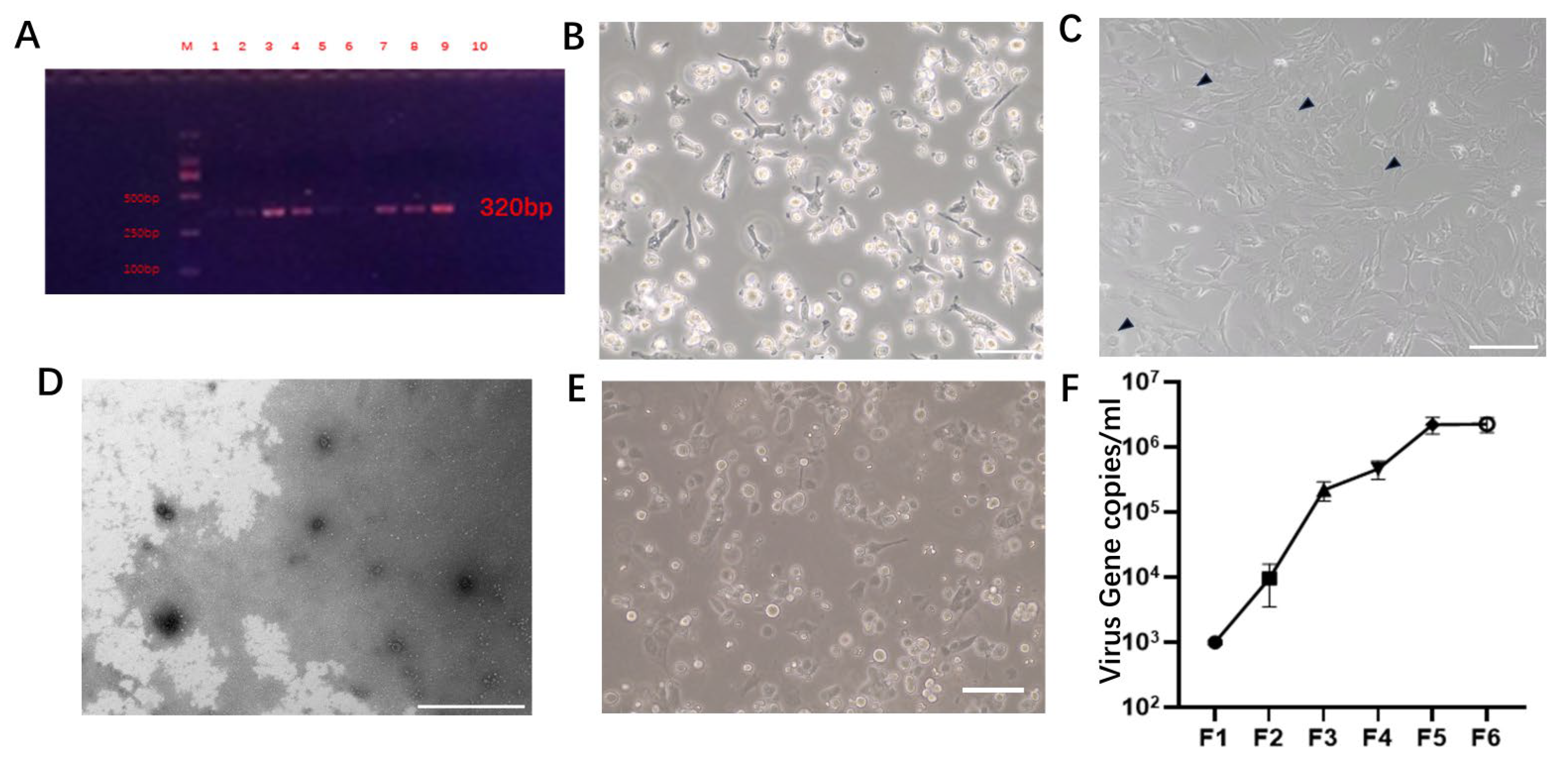 Preprints 102194 g001