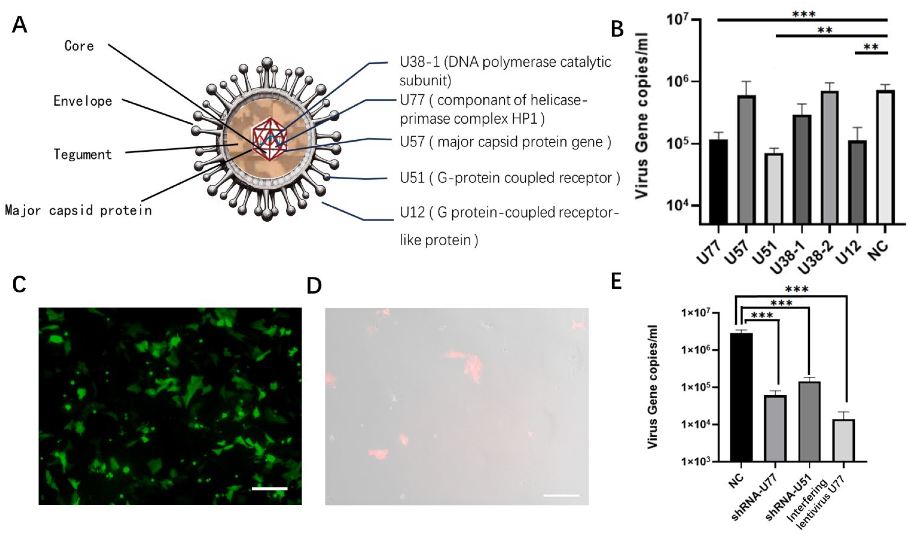 Preprints 102194 g002