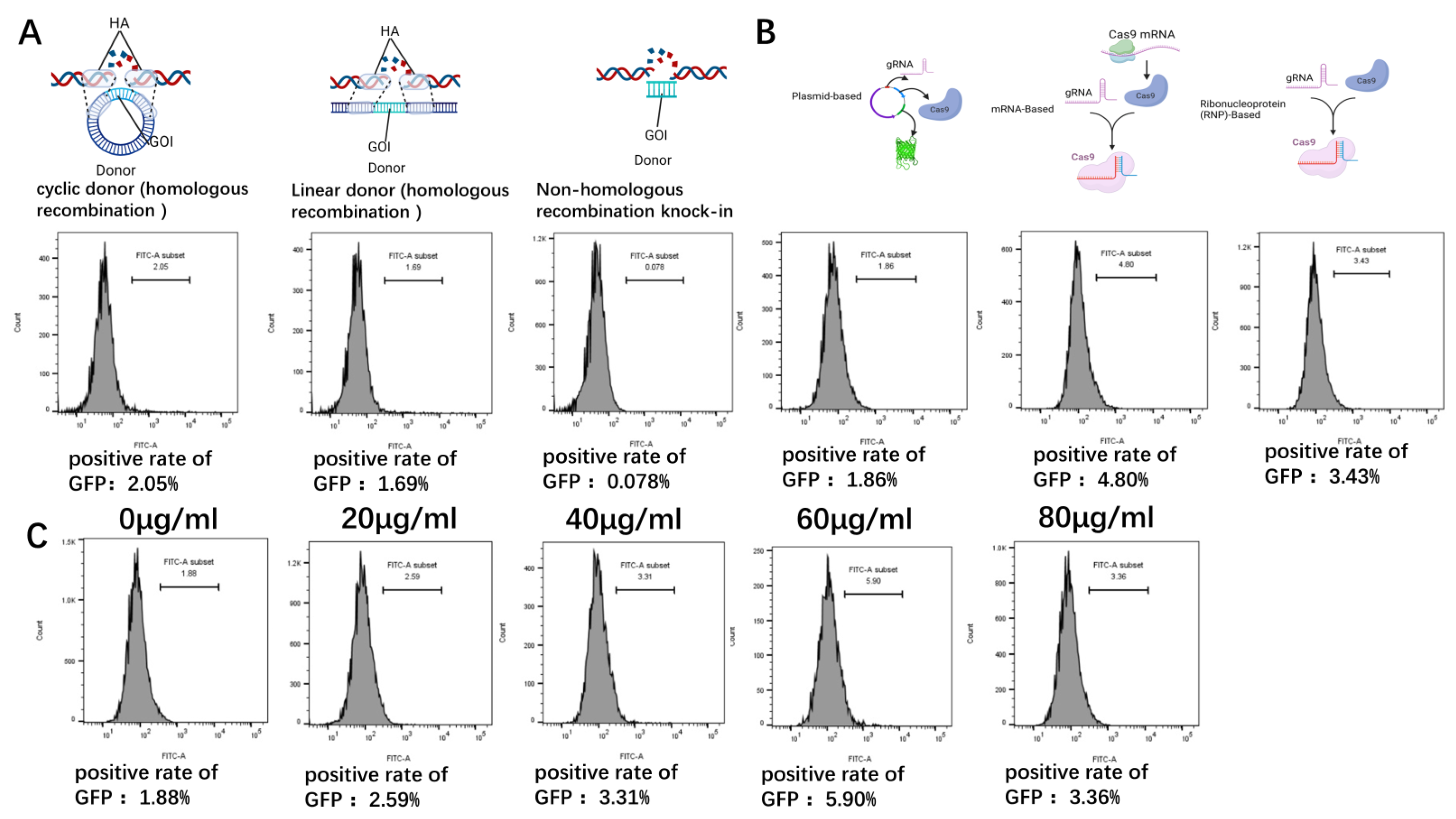 Preprints 102194 g003