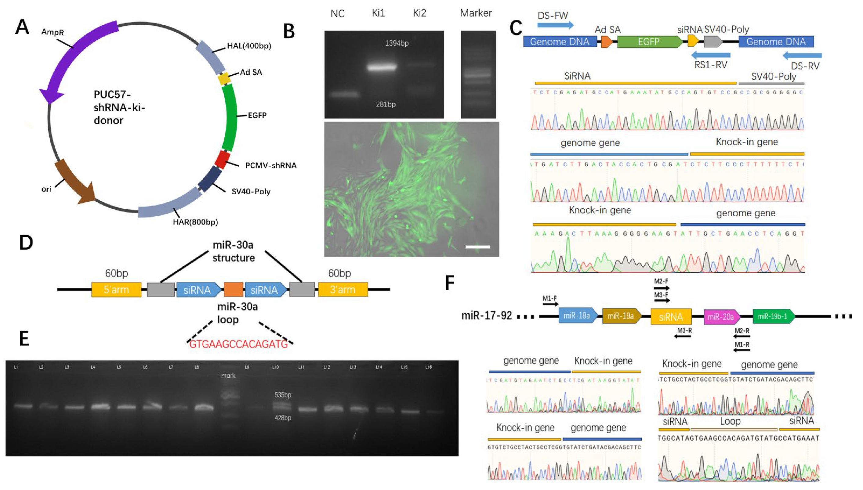 Preprints 102194 g004