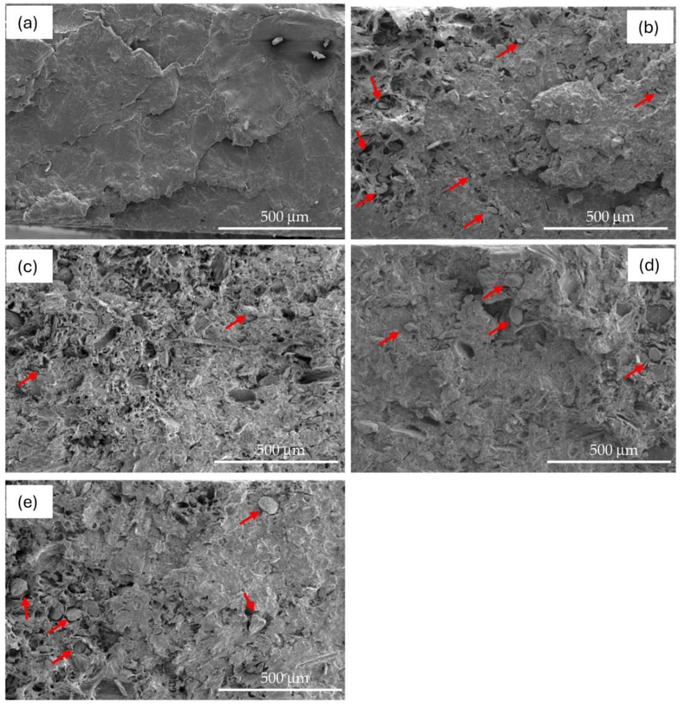 Preprints 120250 g009