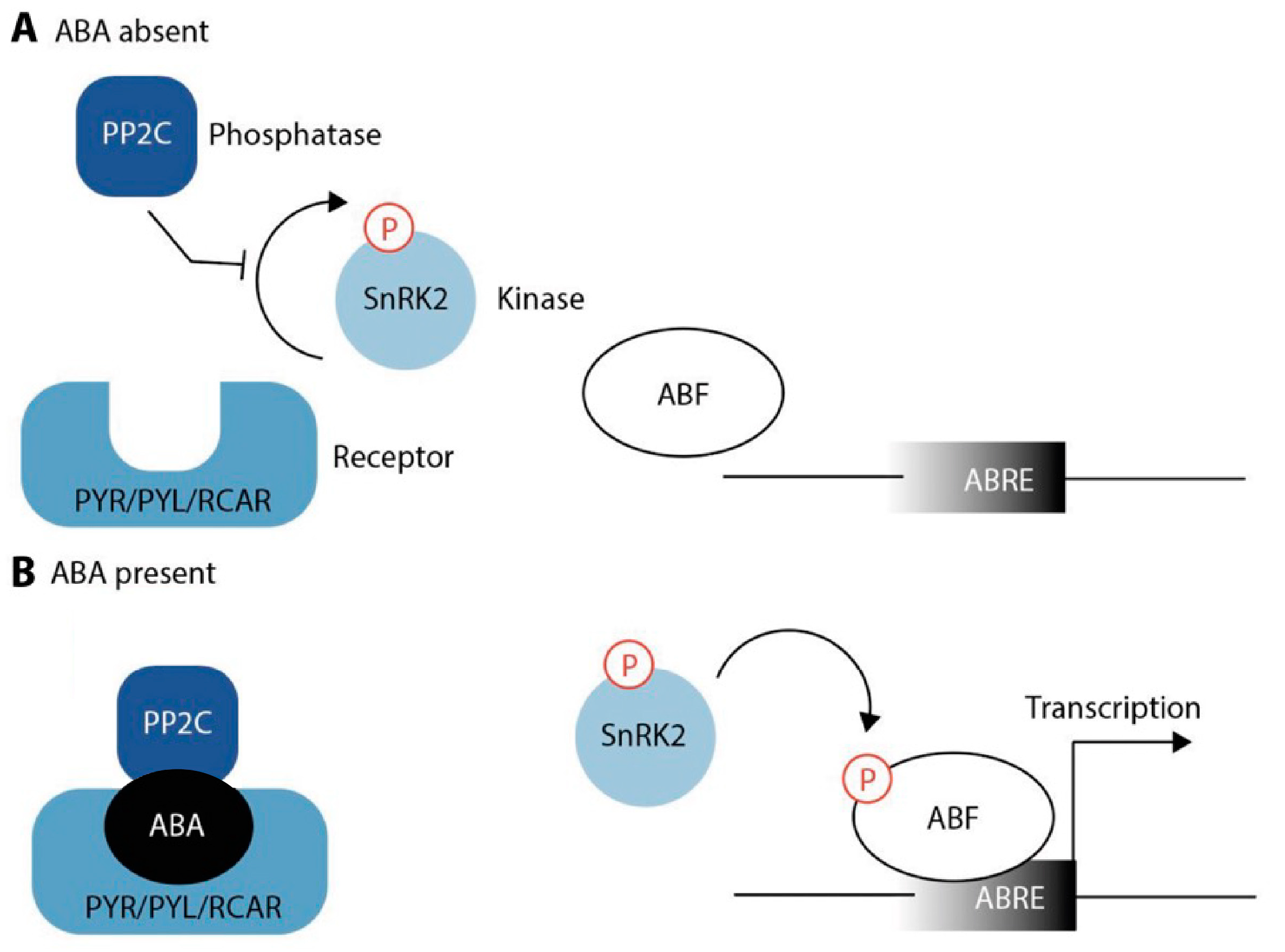 Preprints 66889 g002