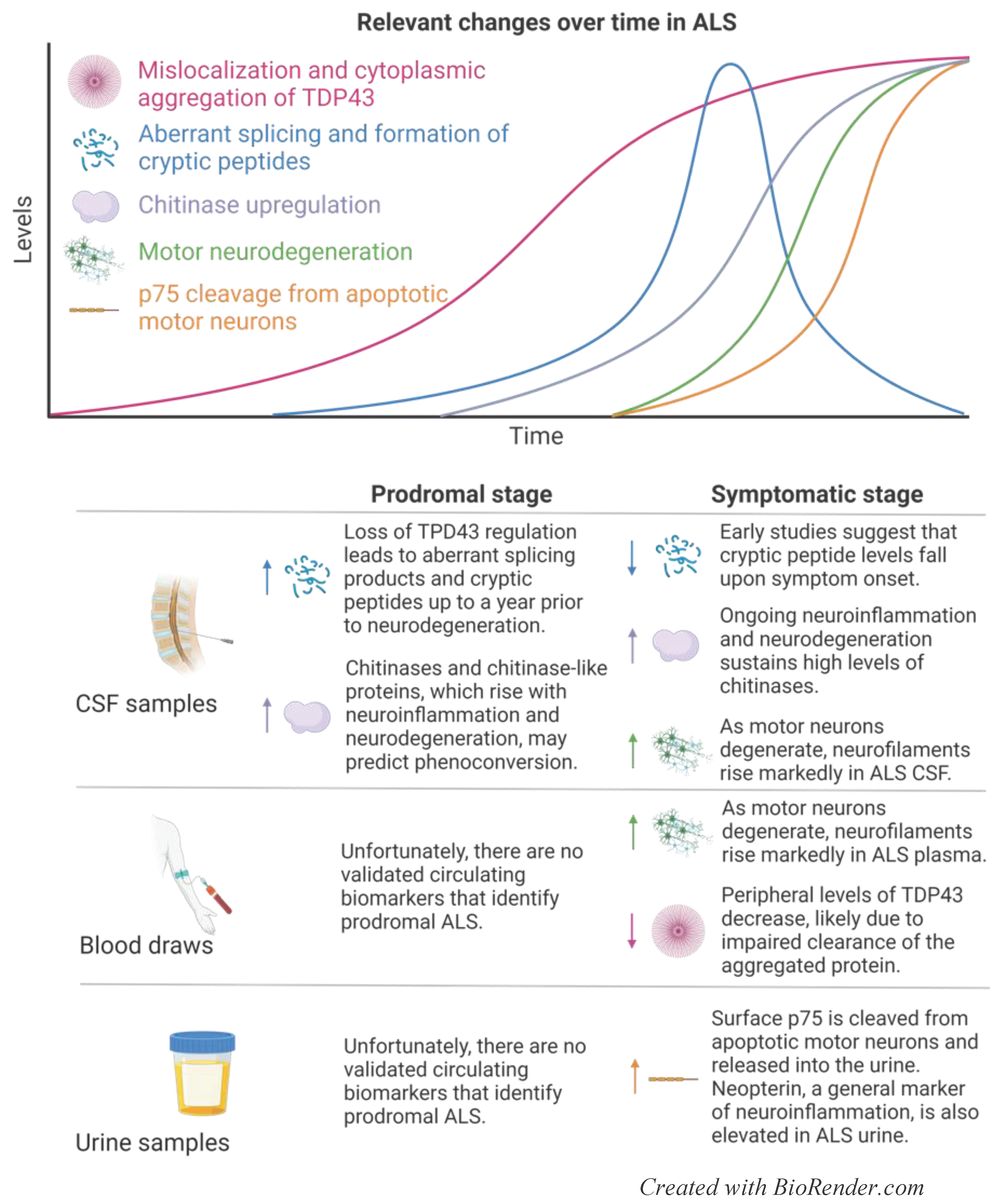 Preprints 100556 g002