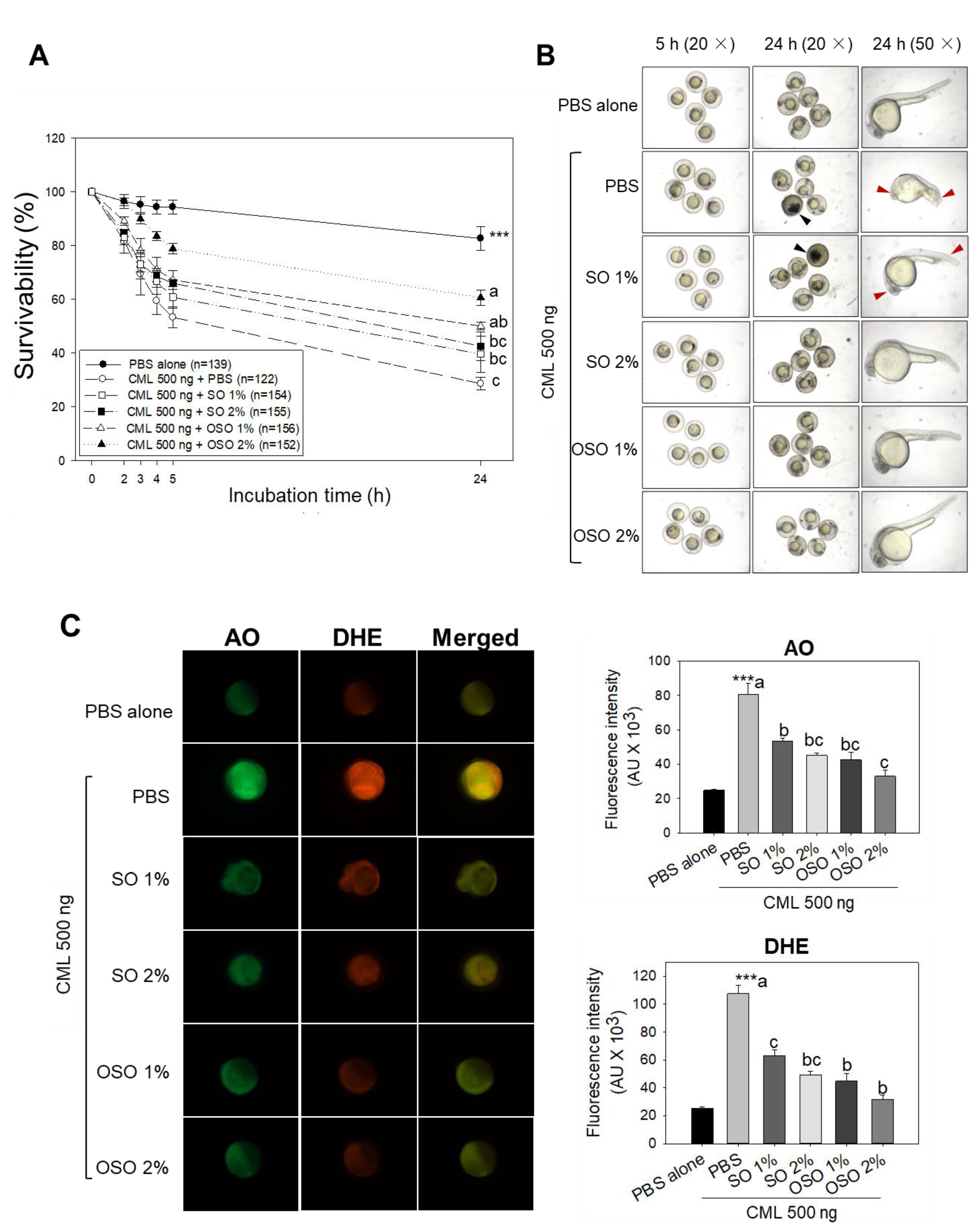 Preprints 73449 g001