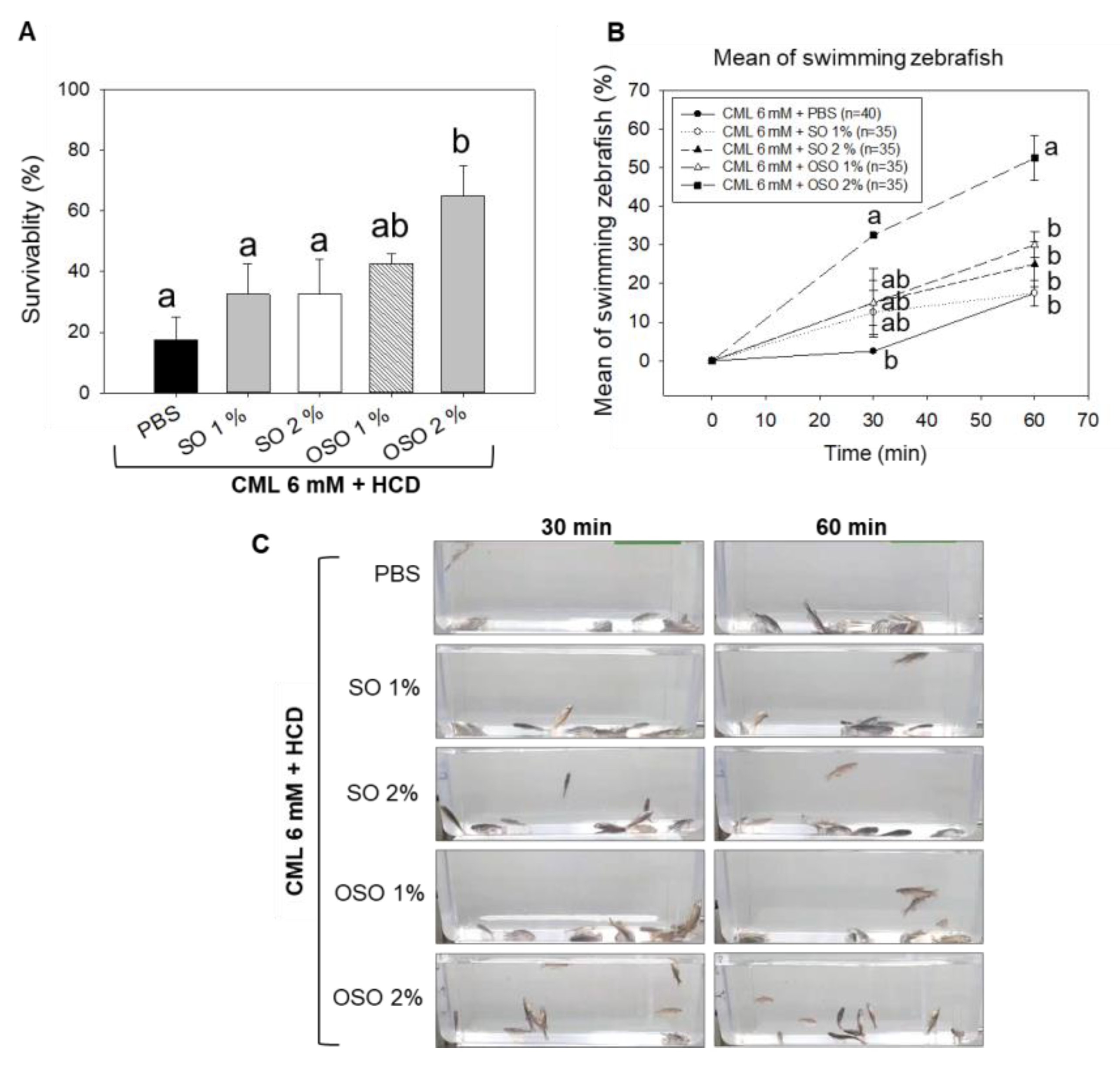 Preprints 73449 g002