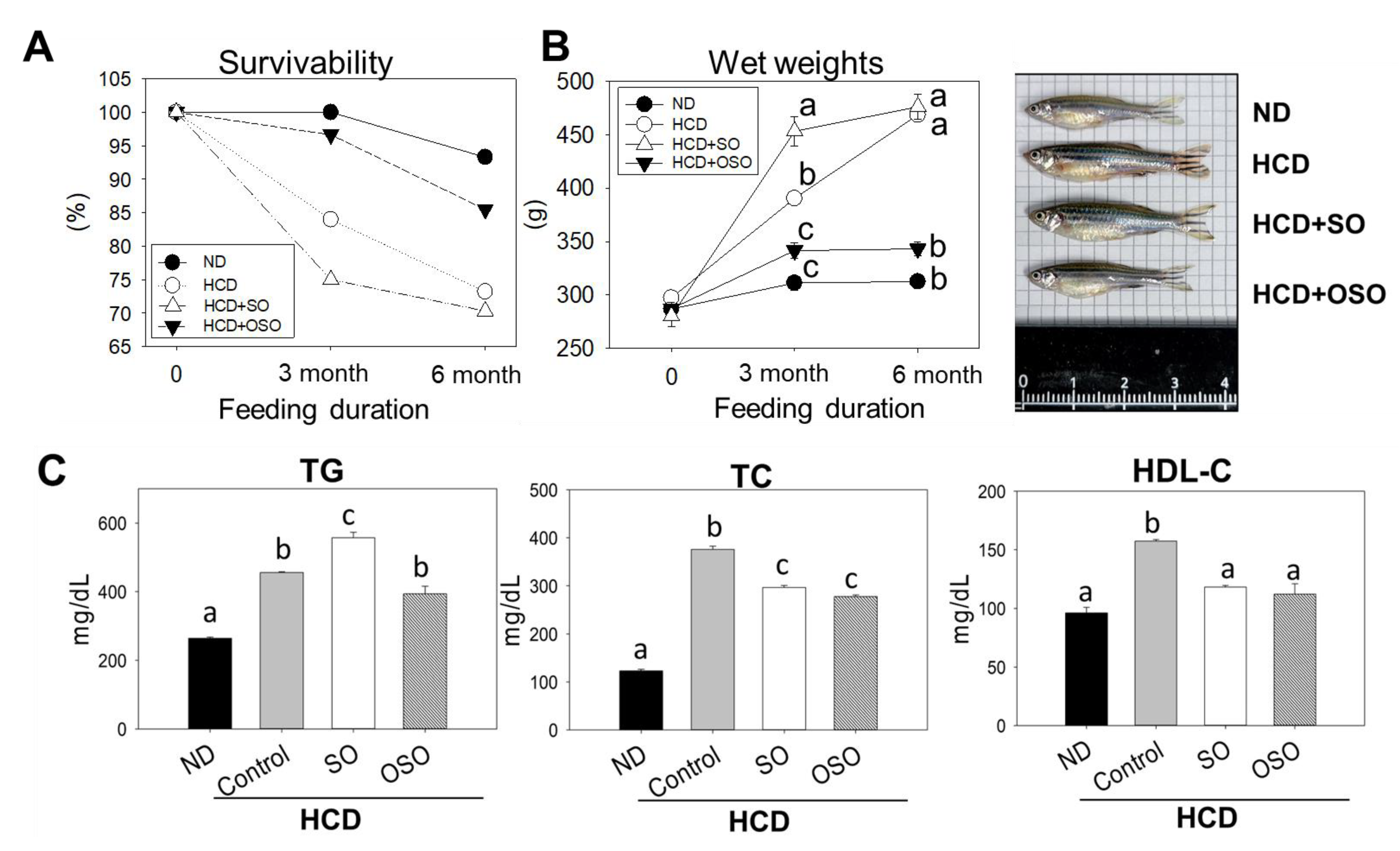 Preprints 73449 g005