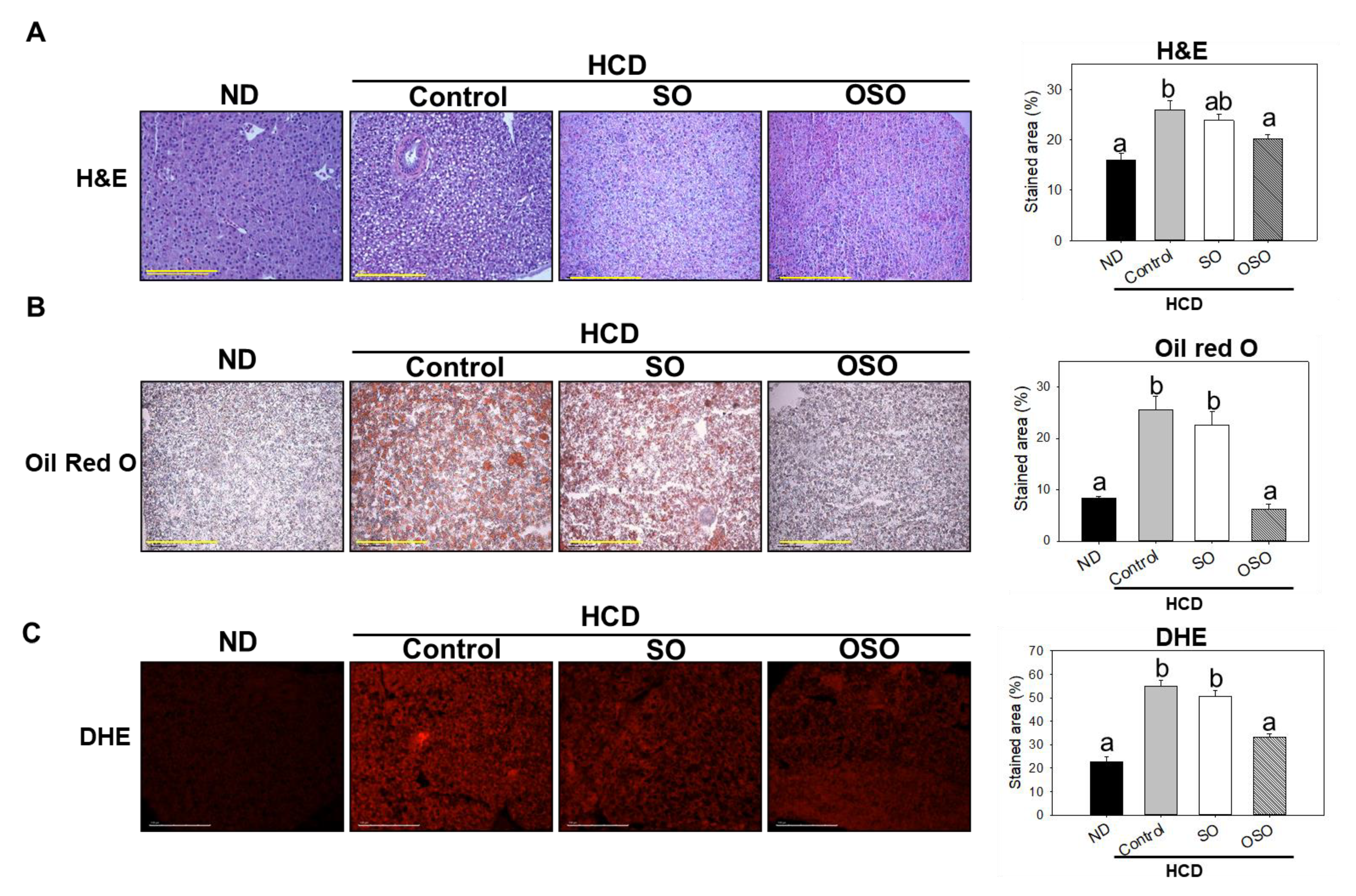 Preprints 73449 g006