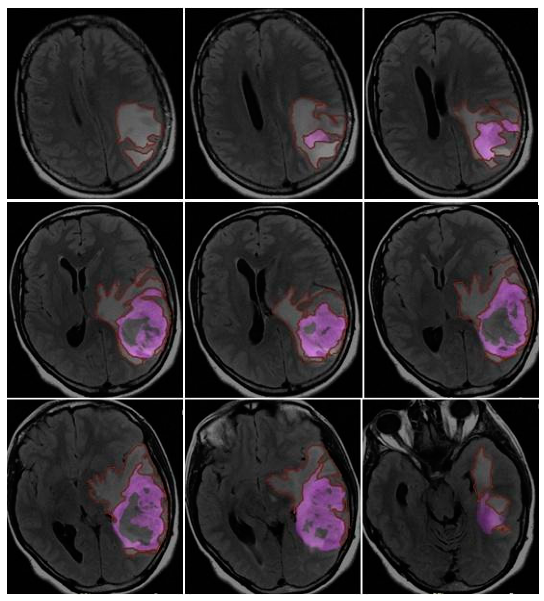 Preprints 86216 g005