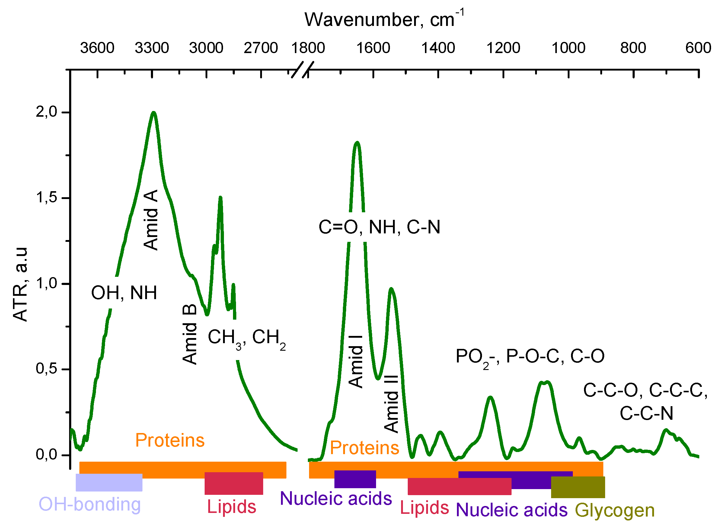 Preprints 120791 g002