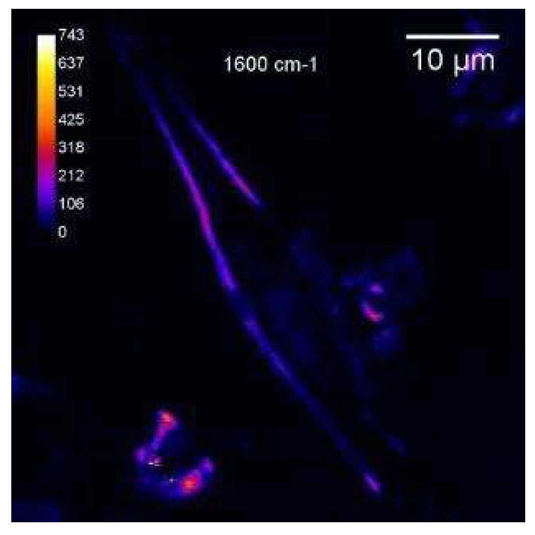 Preprints 120791 g007